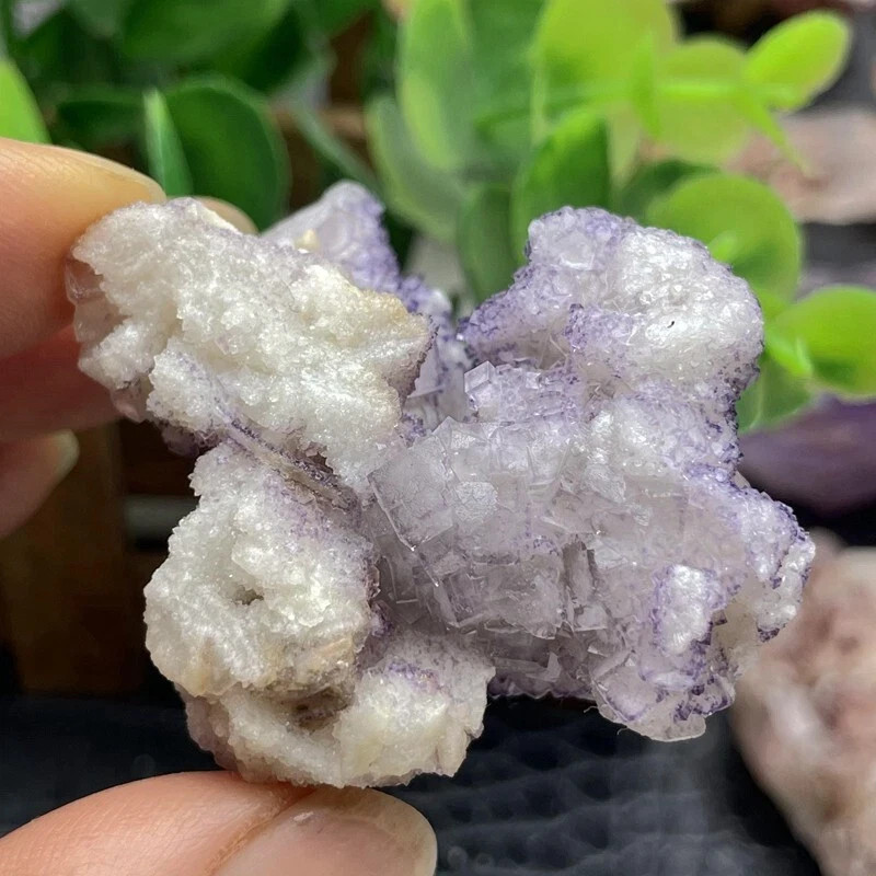 49g Rare transparent Purple cubic fluorite mineral crystal sample/Mongolia China