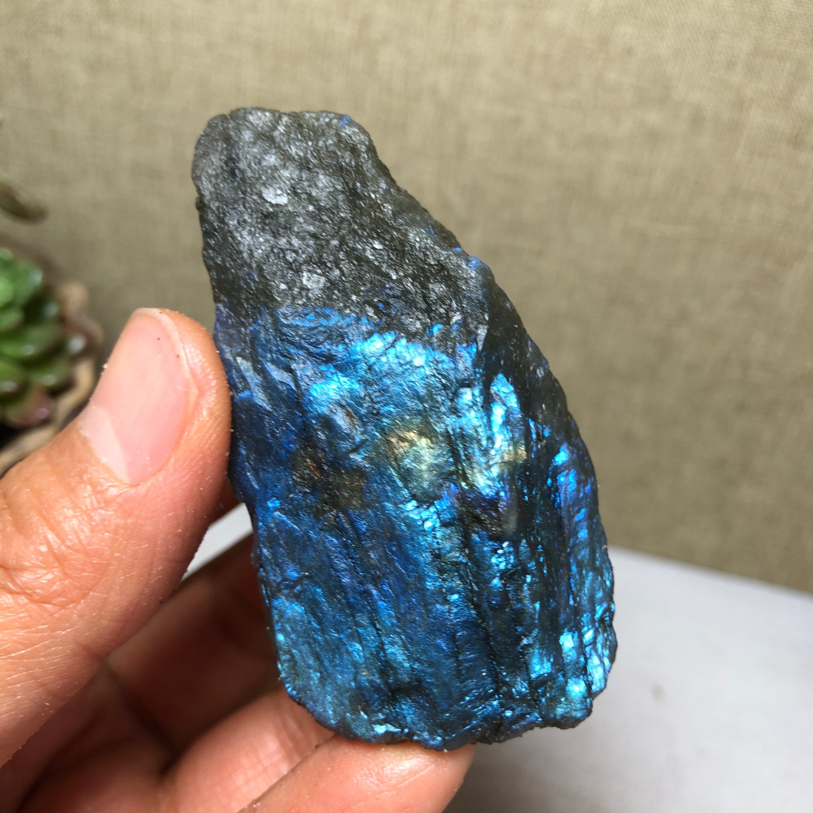 61mm Natural Labradorite Crystal gemstone rough original Specimen 79g A4228