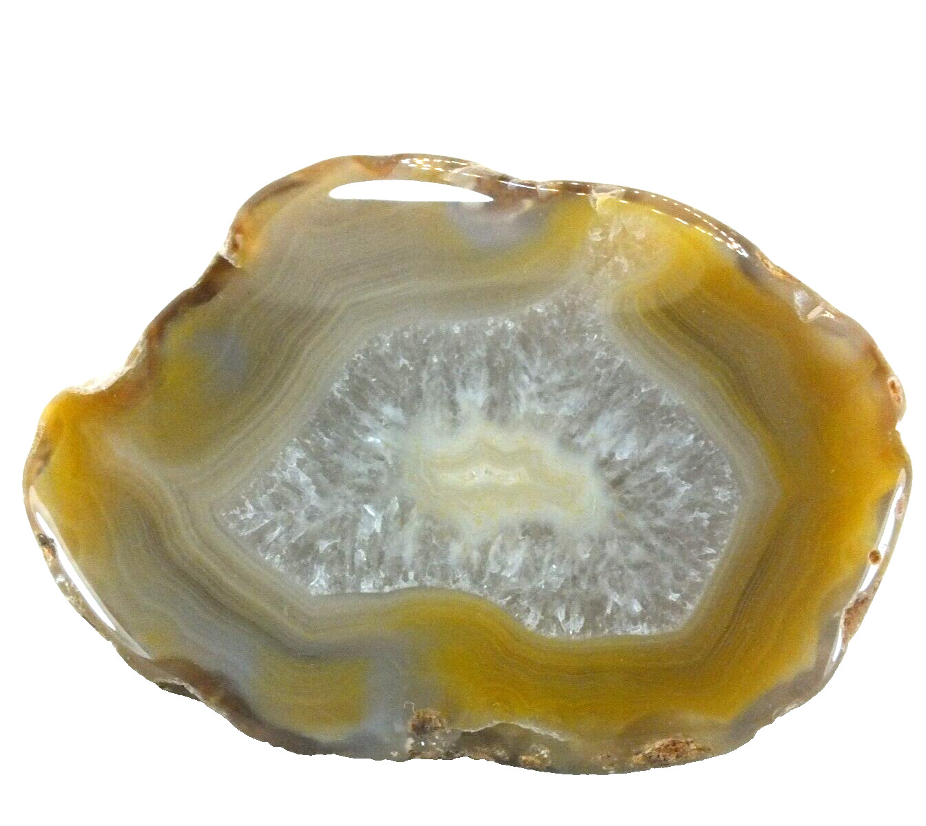 Agate Nodule, polished halves Pair Agate Creek Queensland Australia (EA9586)