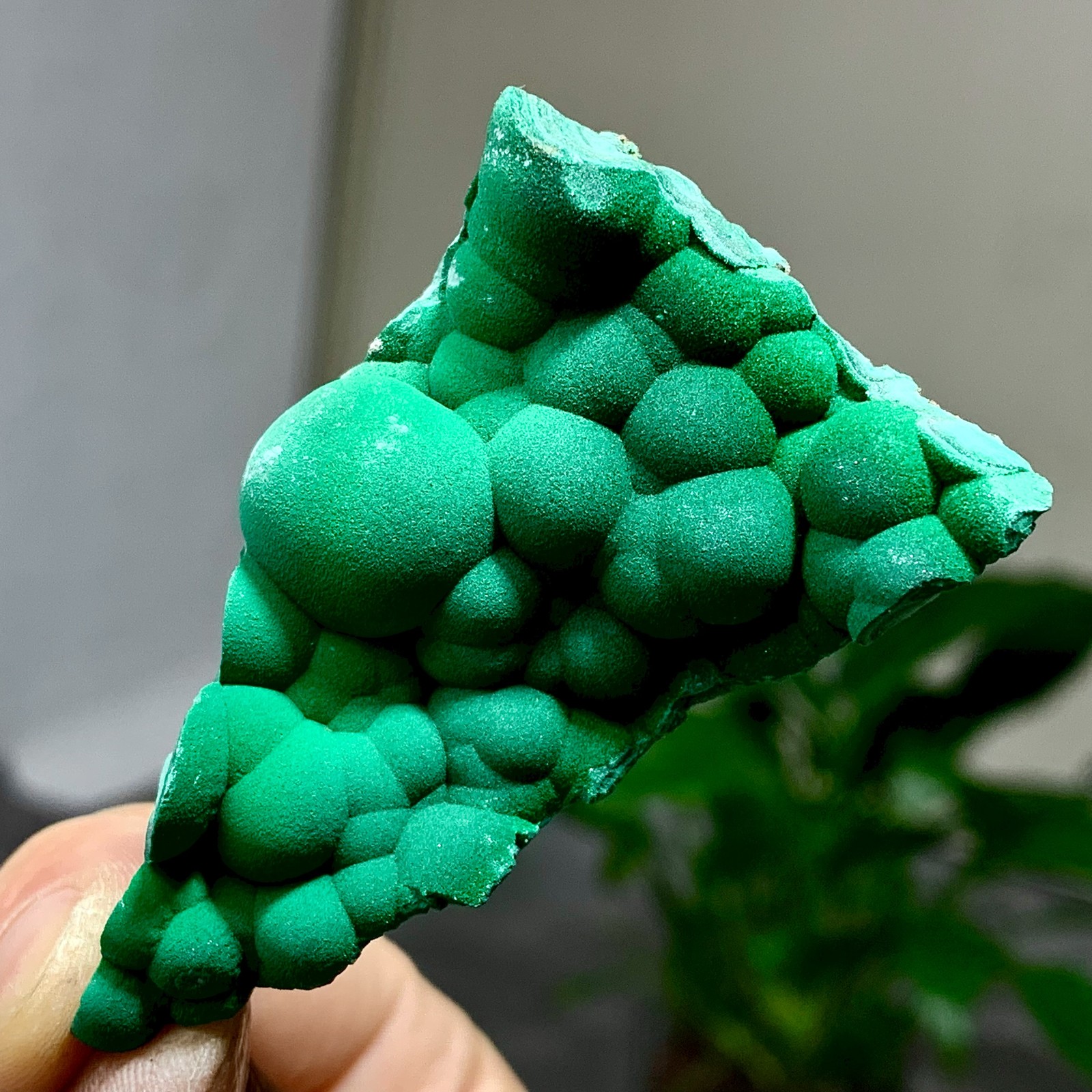 47G Natural spherical velvet malachite cat eye cluster rough mineral Sample