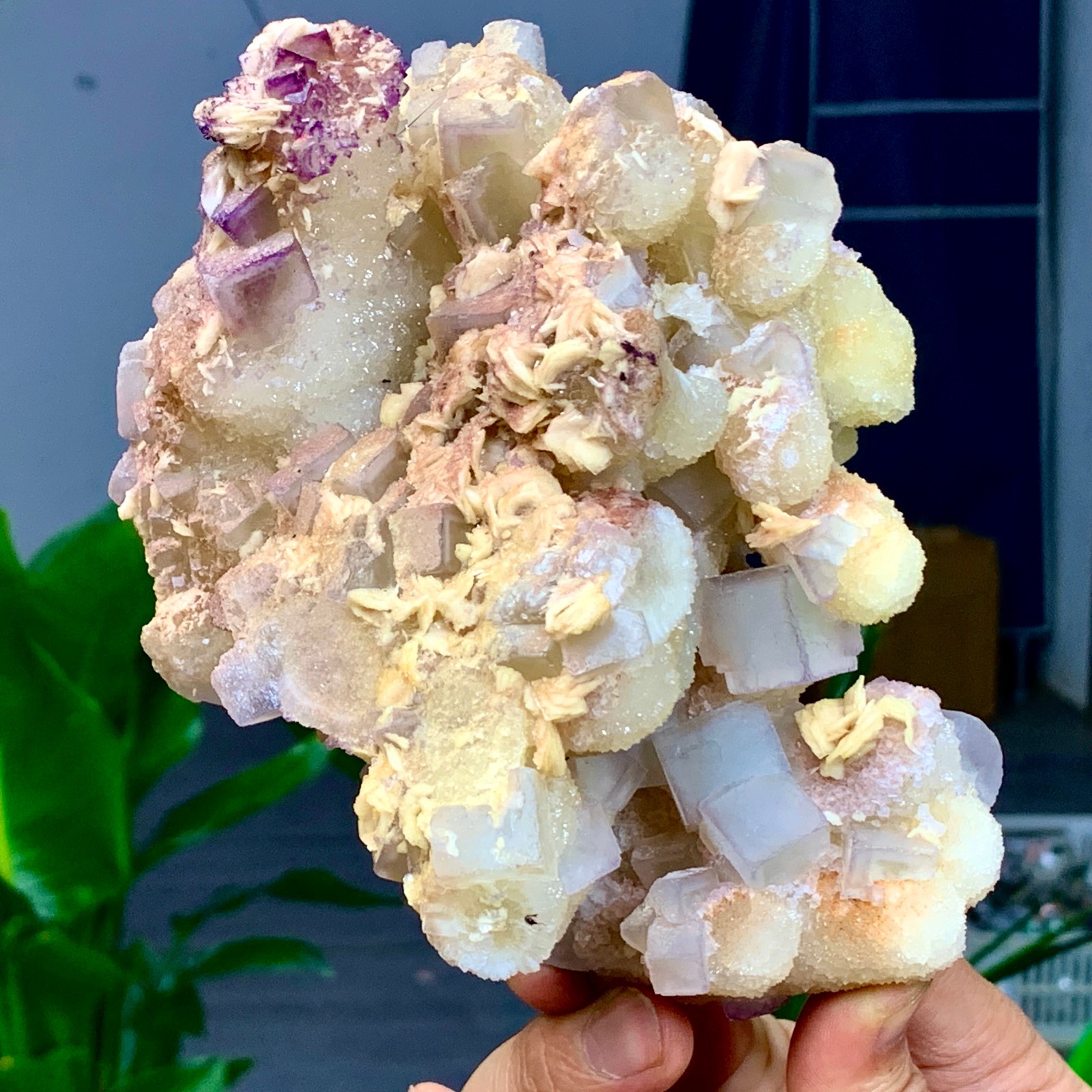 2.24LB Rare transparent purple green cubic fluorite mineral crystal sample/China