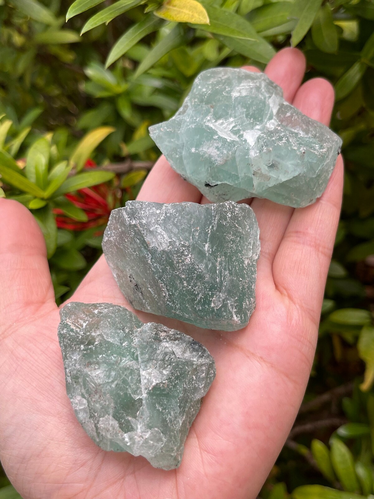 Large Green Fluorite Raw Natural Stone 2 – 2.5 inches, Wholesale Bulk Lot