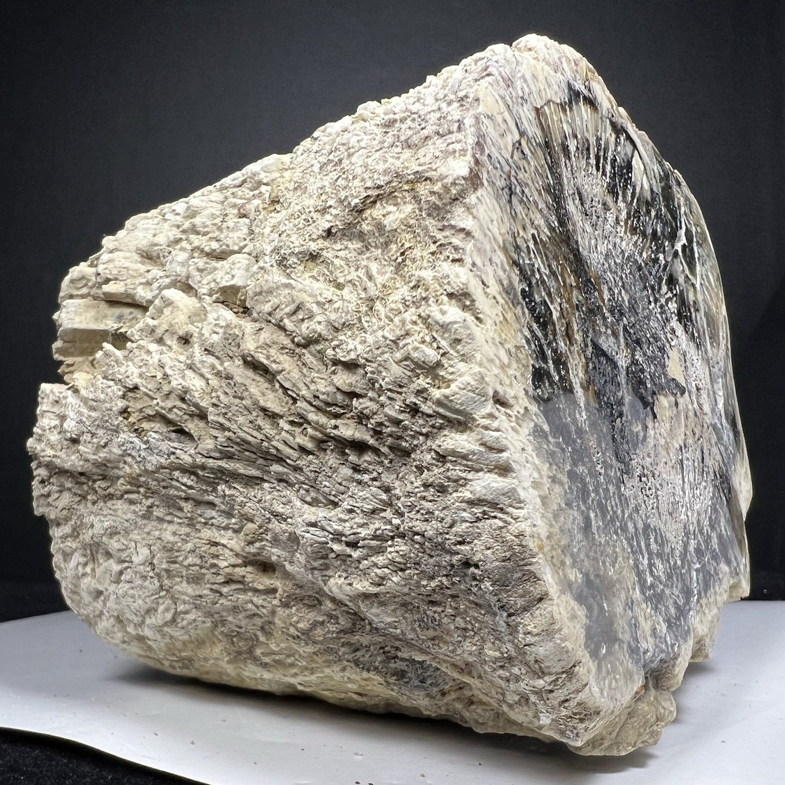 1513G Natural Log Black Opalized Petrified Wood Natrolite Cluster Rough Specimen