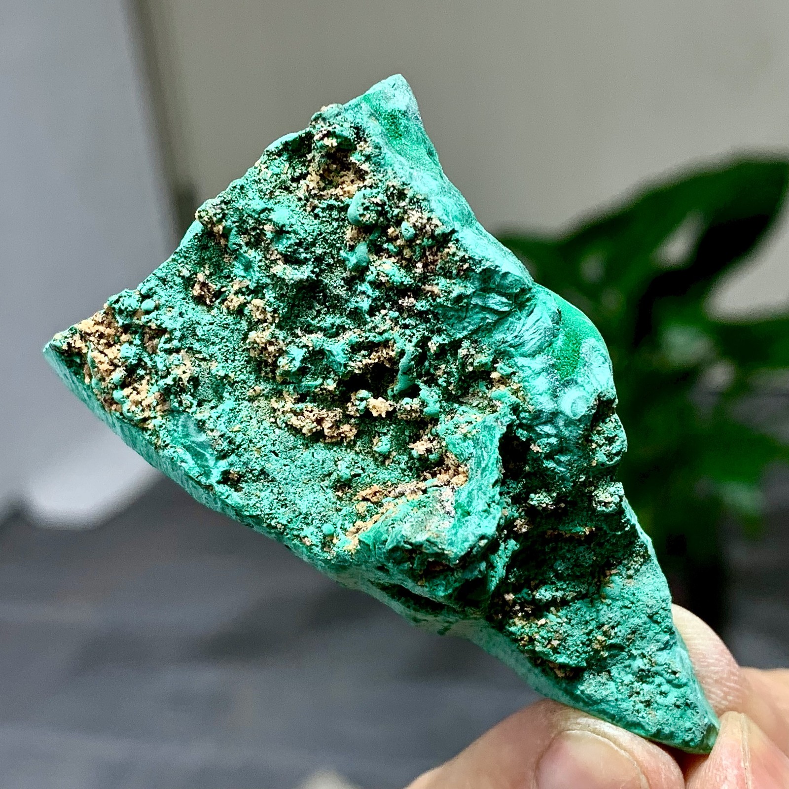 47G Natural spherical velvet malachite cat eye cluster rough mineral Sample