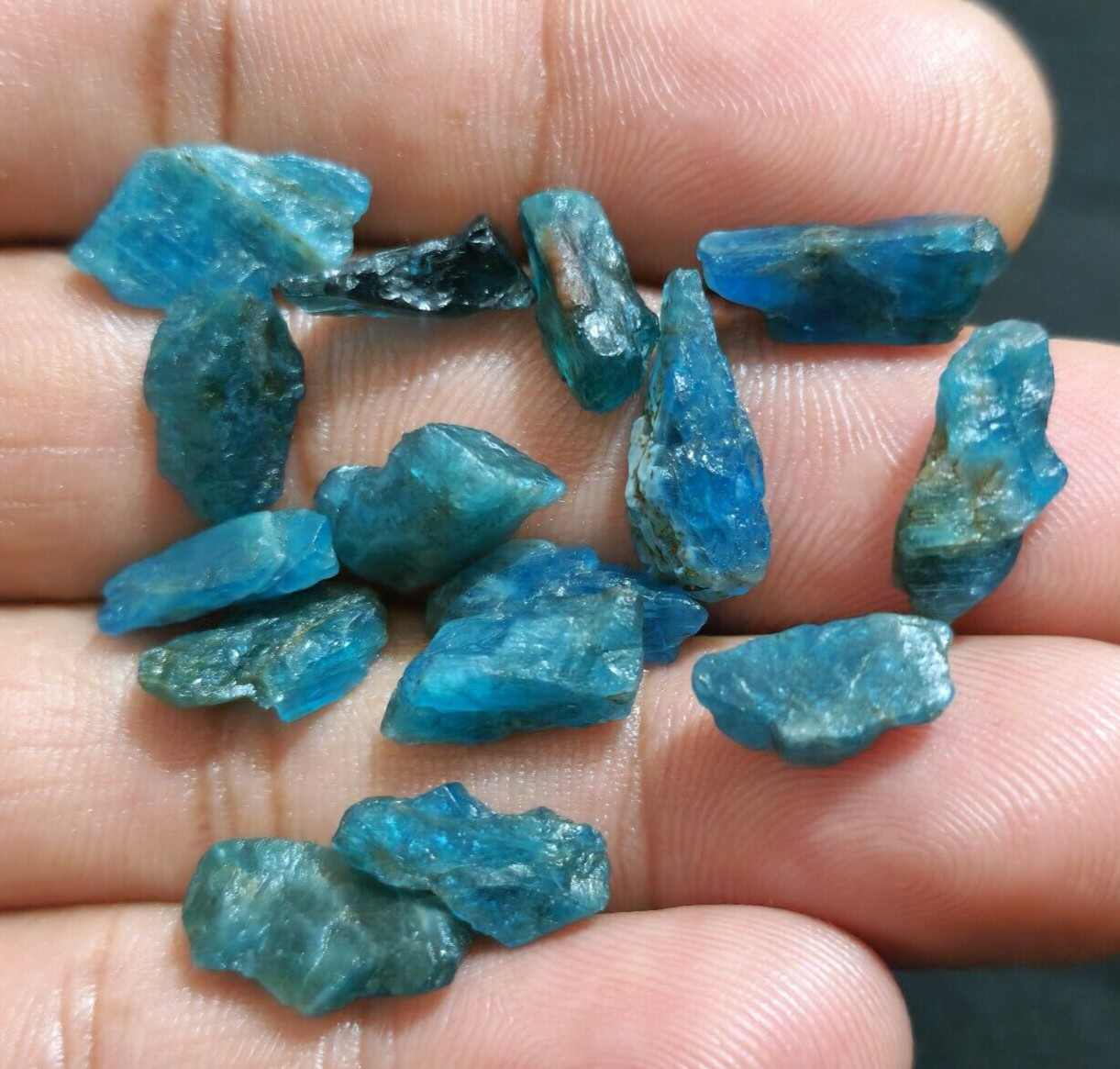 A+ Unique Blue Apatite Raw 15 Pcs Lot Size 12-14 MM Crystal Rough Loose Gemstone