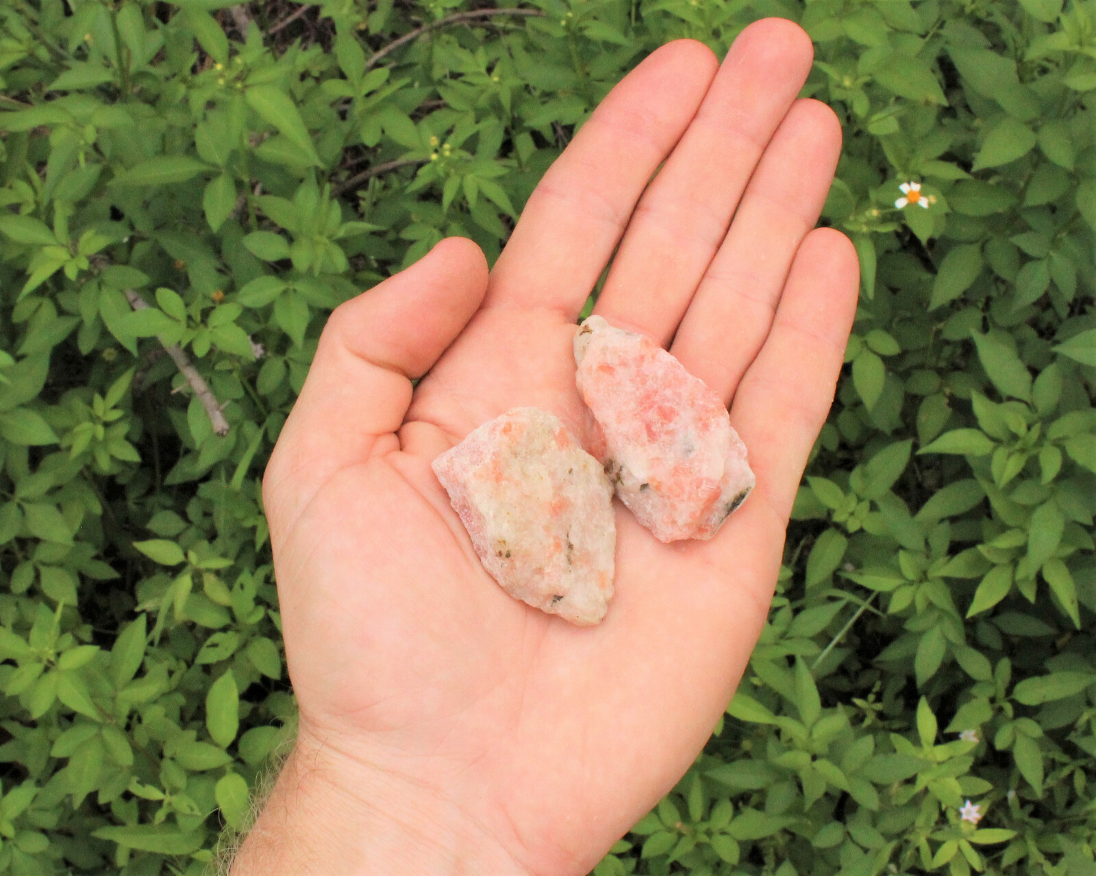 Raw Natural Sunstone: Choose How Many Pieces (Rough Sunstone Crystal)