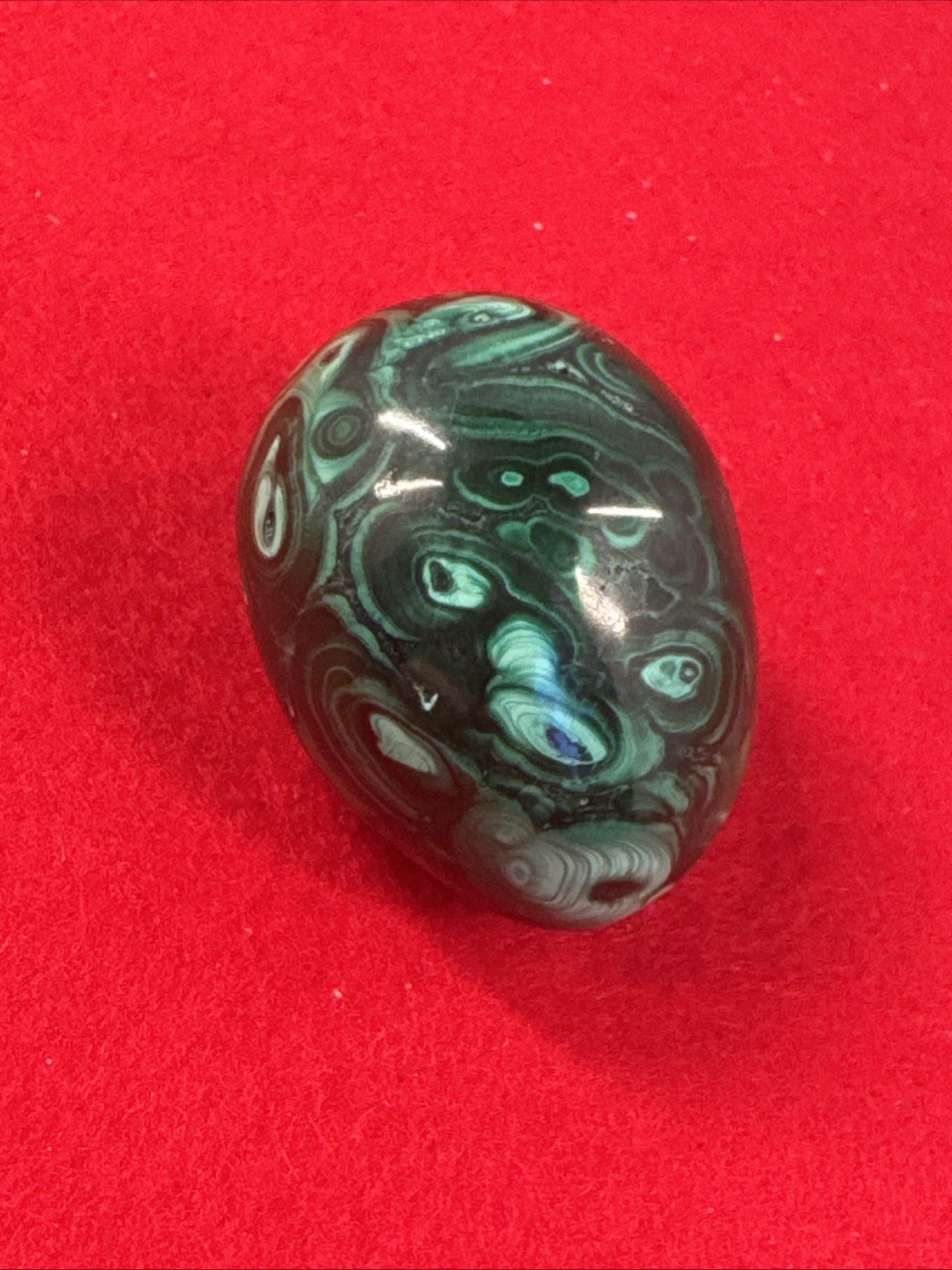 50G Natural Glossy Malachite egg shape crystal mineral Healing Pocket Stone
