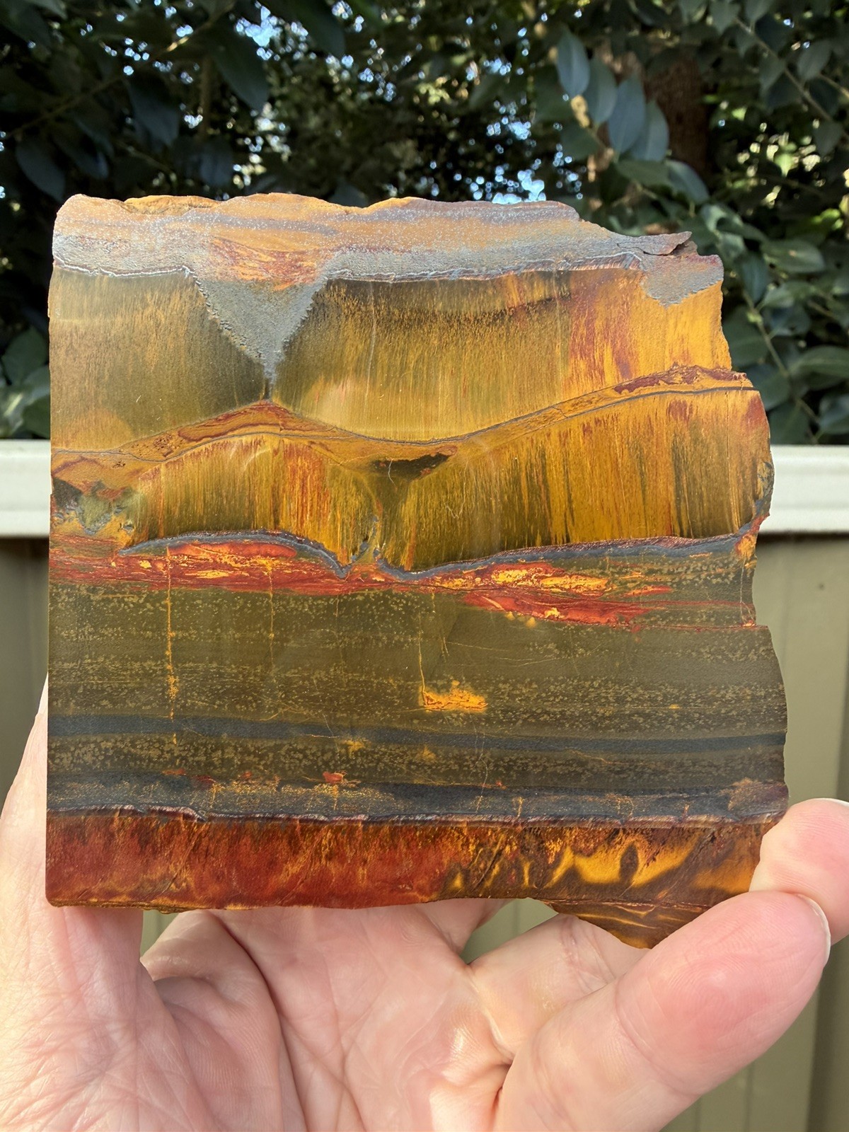Aussie Tiger Eye – Mara Mamba W.A Polished back End Cut Slice 784g Nice