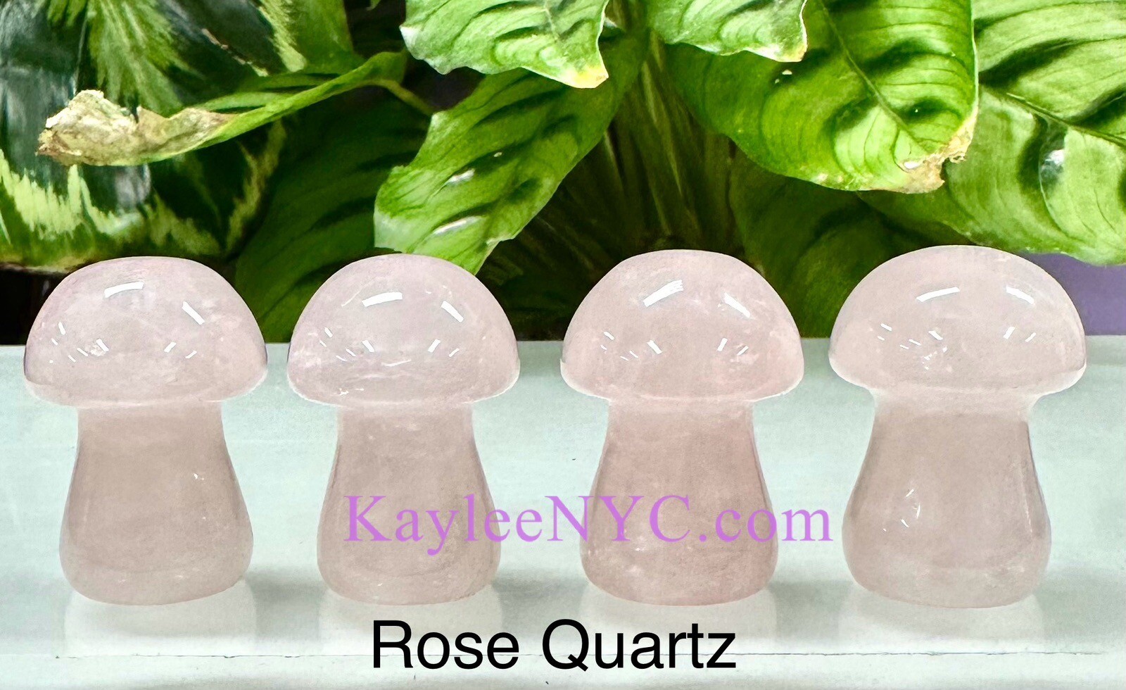 Wholesale Lot 12 PCs 3.5cm Natural Mix Crystal Mushroom 🍄 Healing Energy