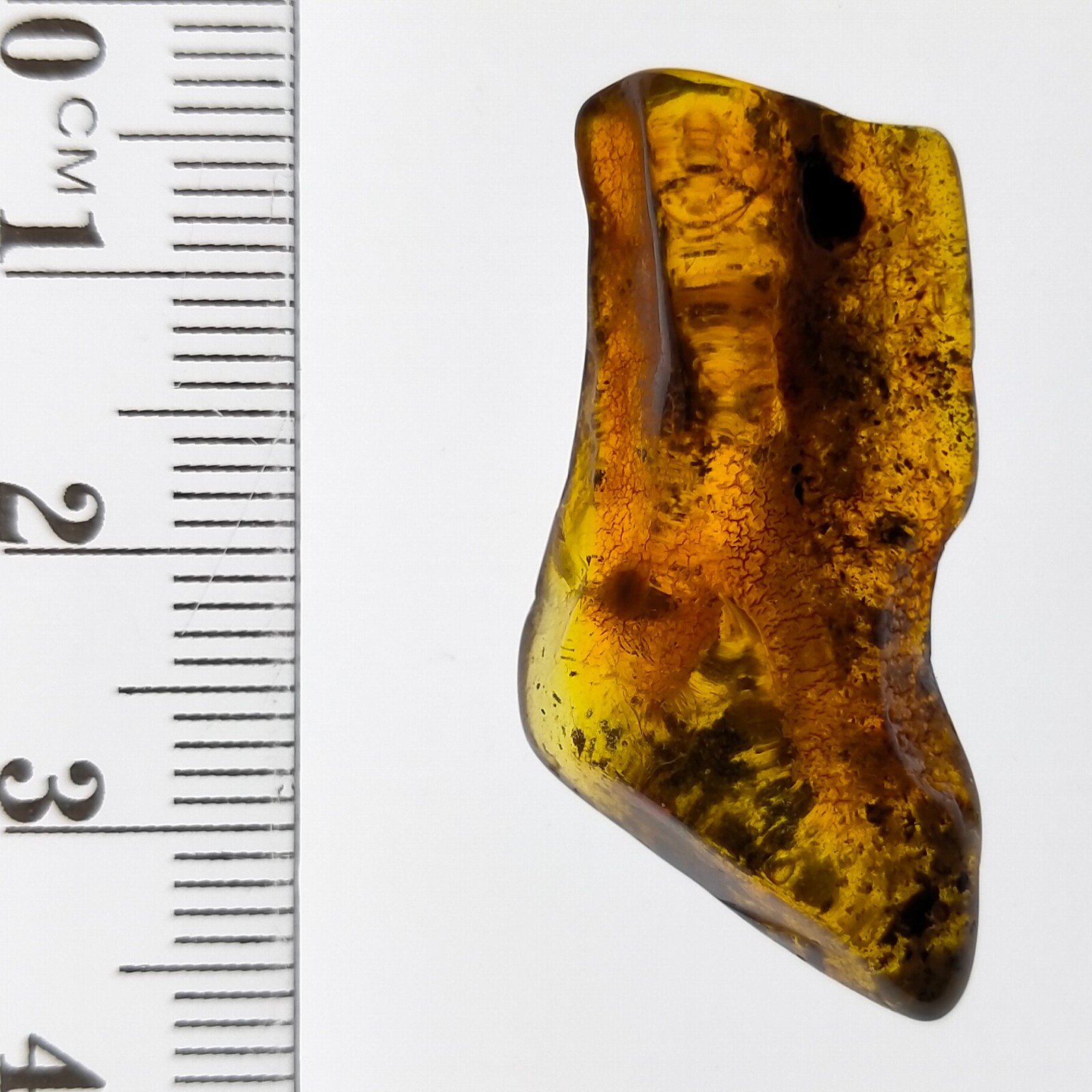 Insect in Amber natural gemstone trapped fossil inclusion Watch Video 11.2ct