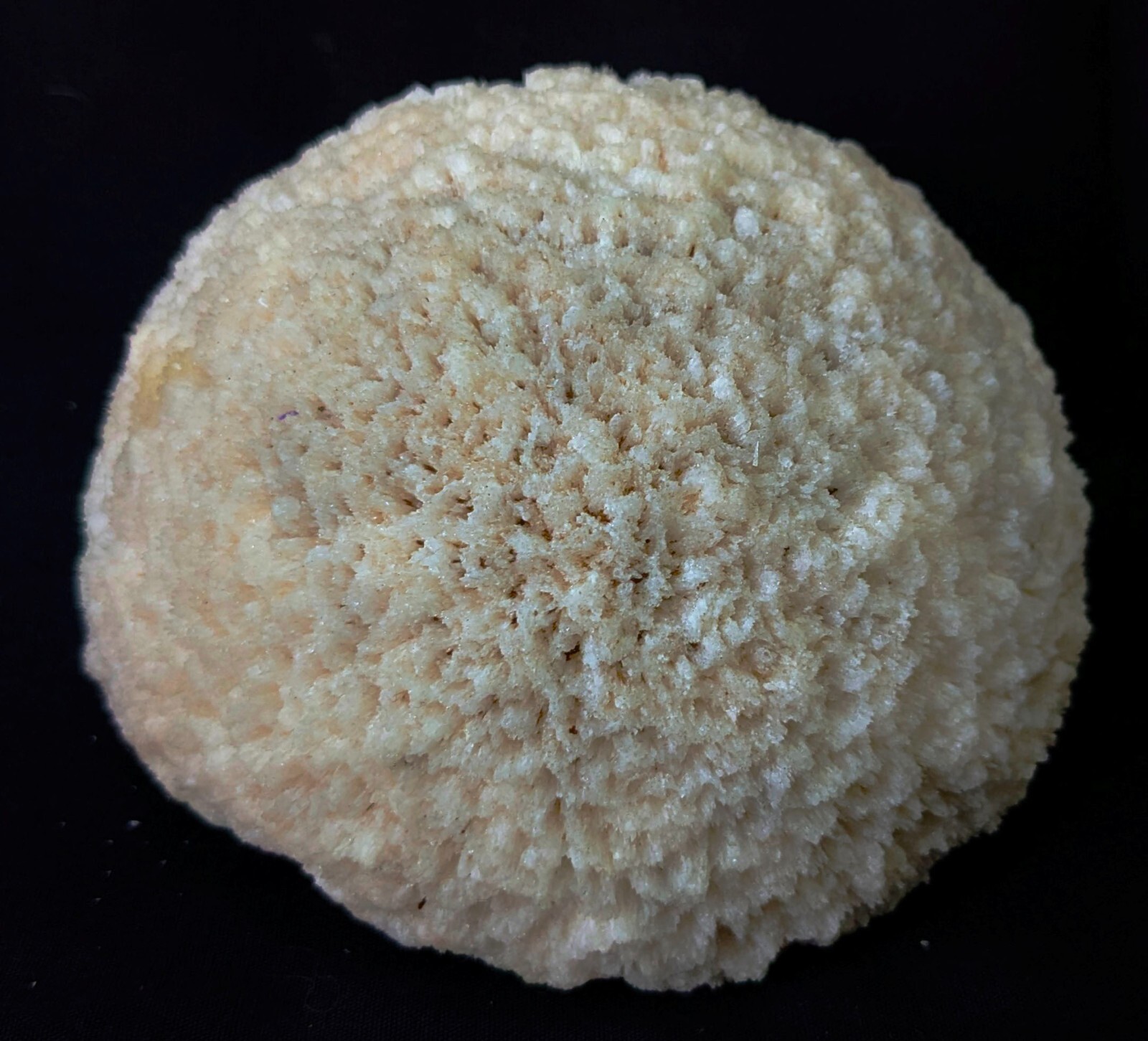 Scolecite Half moon Shape Crystal formation mineral