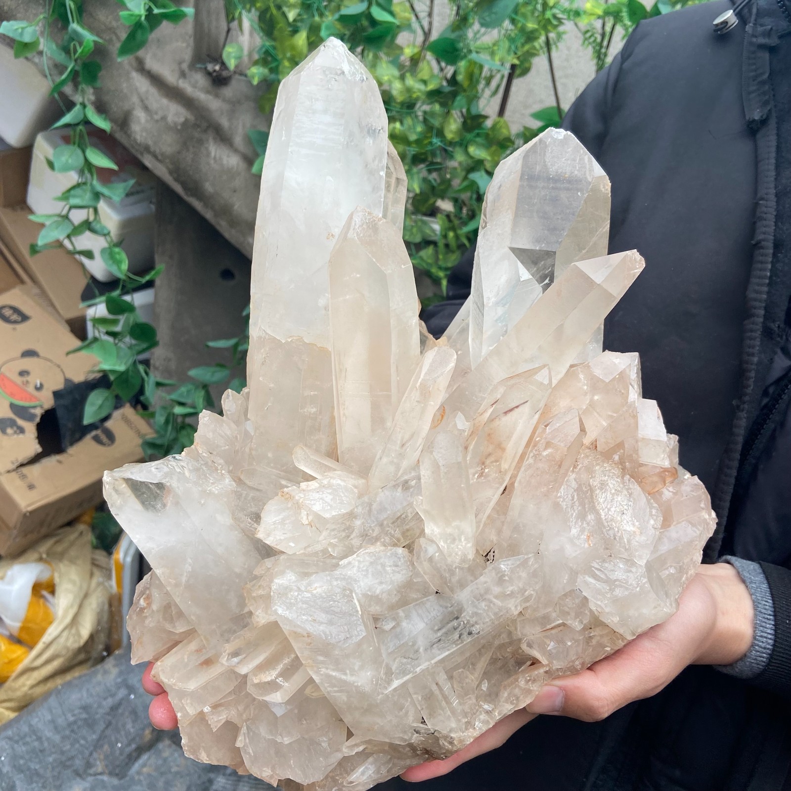 29.9lb Natural Clear White Crystal Quartz Cluster Rough Healing Specimen