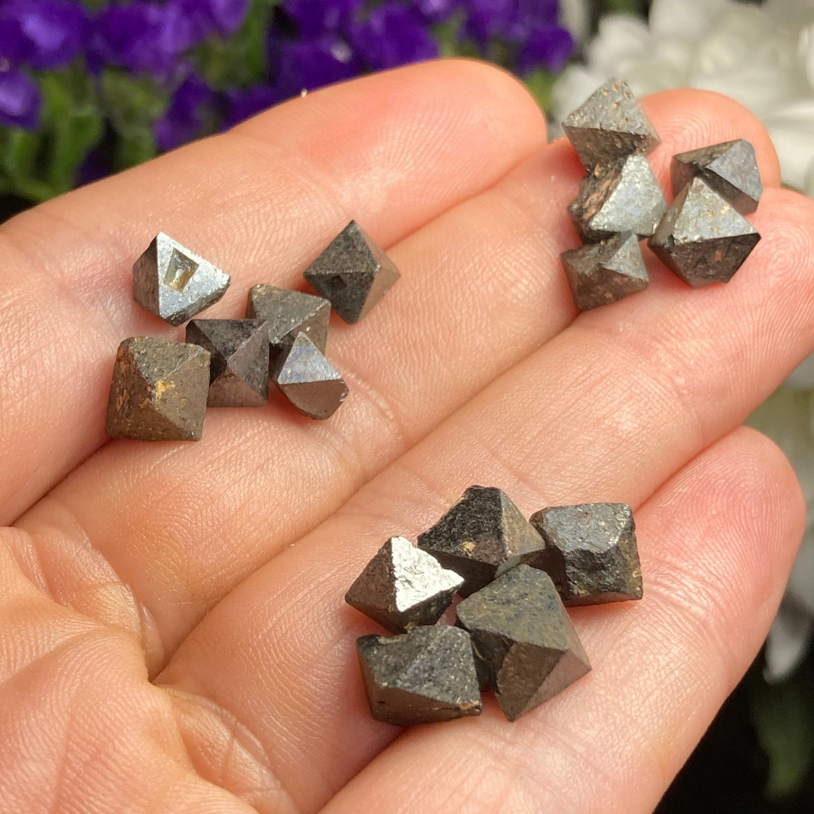 Magnetite Crystals