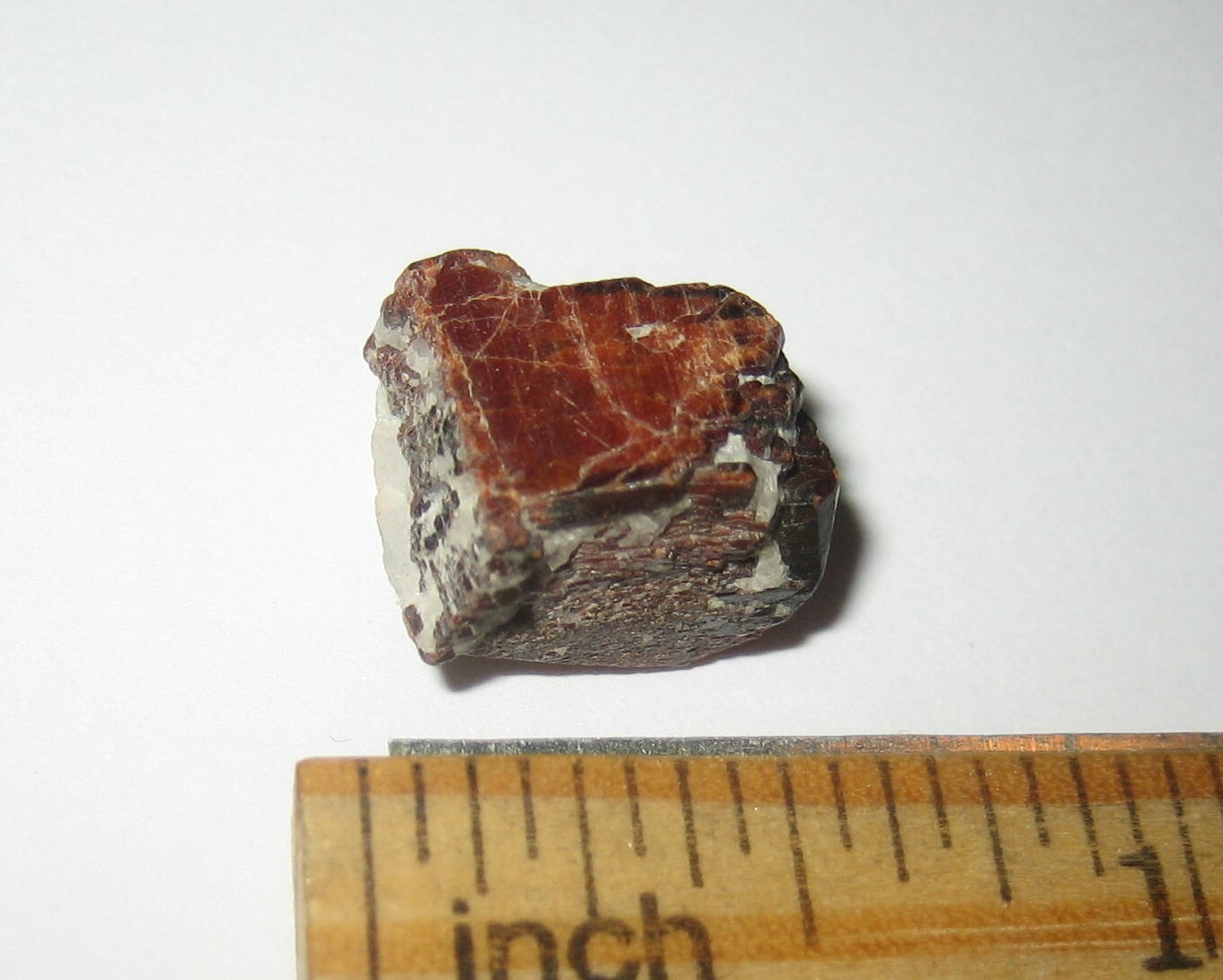 .5″ SMALL NATURAL ROUGH MANGANO TANTALITE CRYSTAL MINERAL PAKISTAN ~ 5.9grams *1
