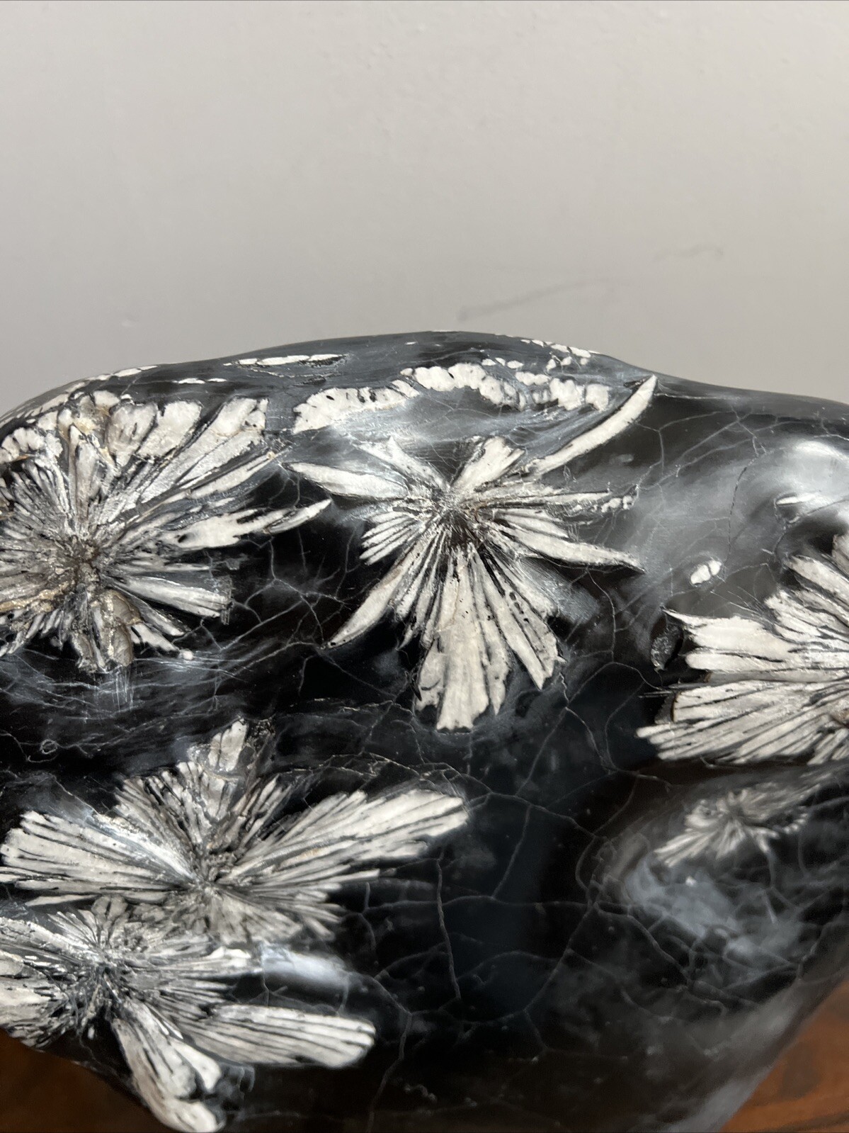 Large Chrysanthemum Stone