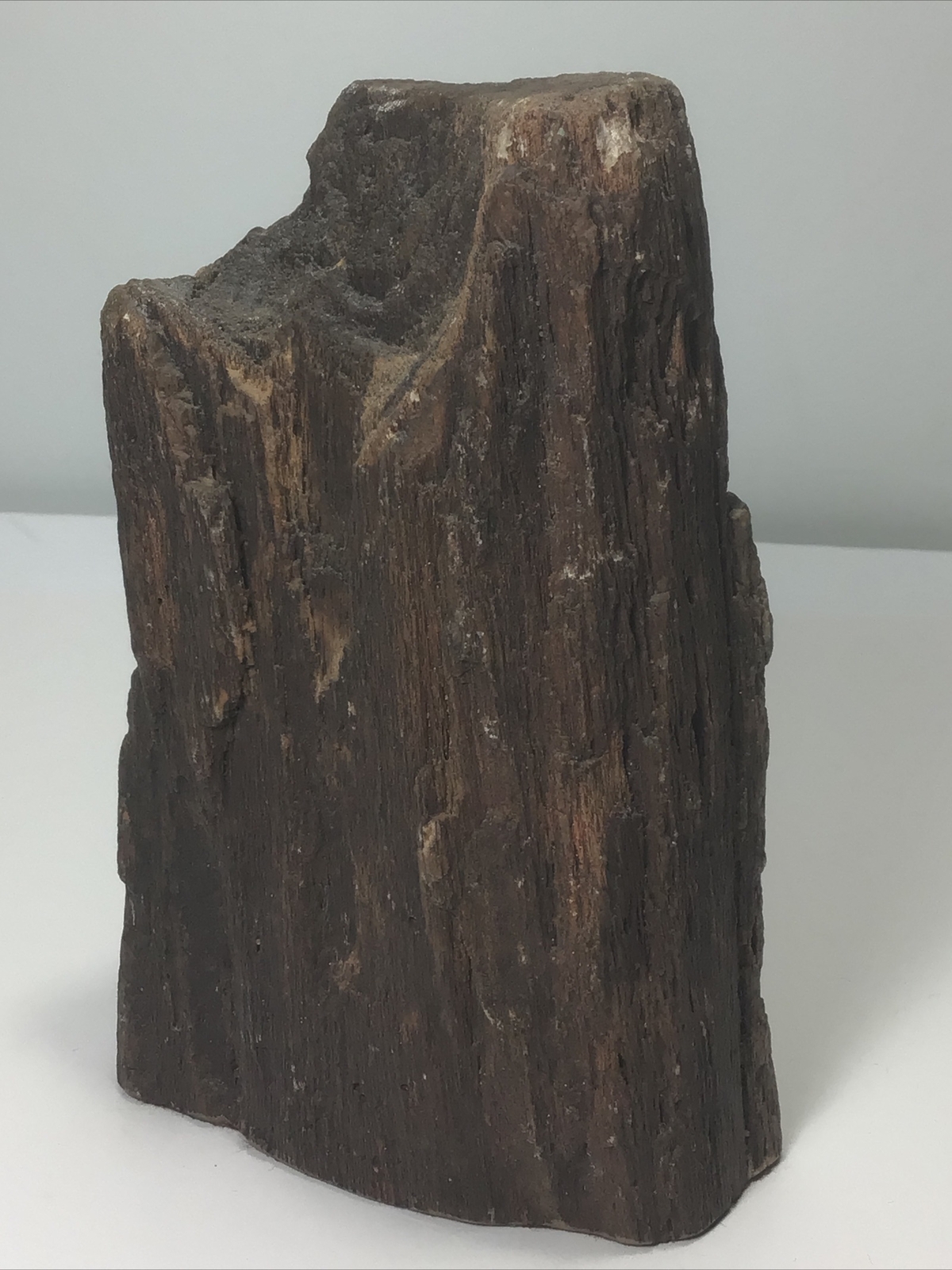 Natural Petrified Wood Display Piece. 7-1/2” Tall. 4lb 4oz. Beautiful Grain