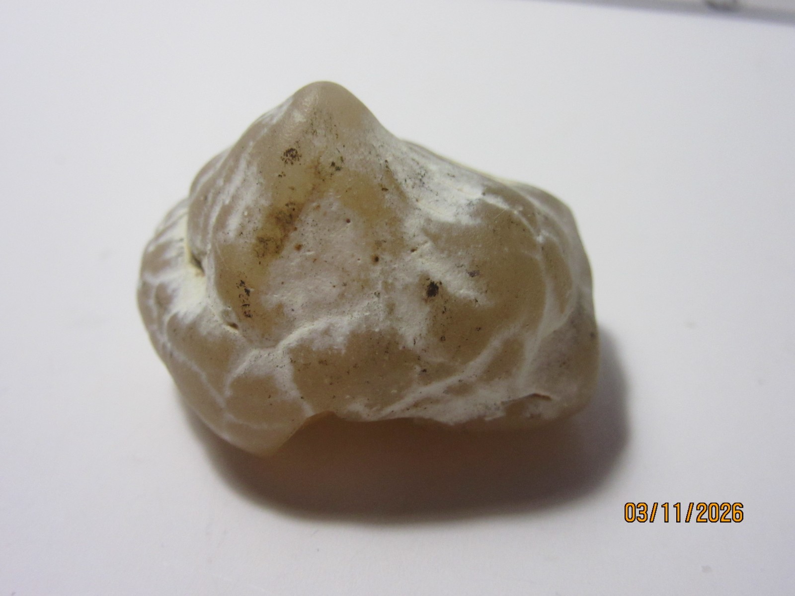Snake Skin Agate 1 1/4 Inch Quartz Collectible SSAQC-1.25