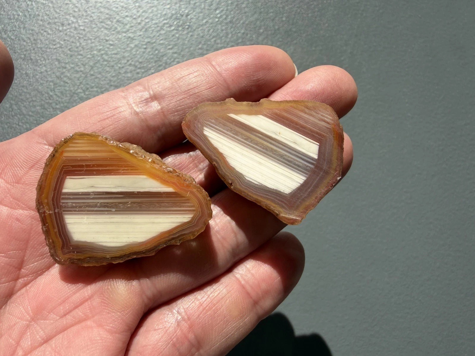 Aussie Agate Nodule, Cut And Polished Agate Creek Queensland, Sardonyx Nice