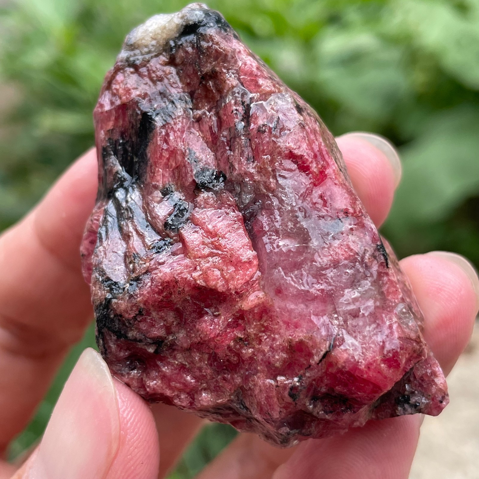 84g Small Raw Ore Red Black Rhodonite Quartz Gemstone Mineral Specimen