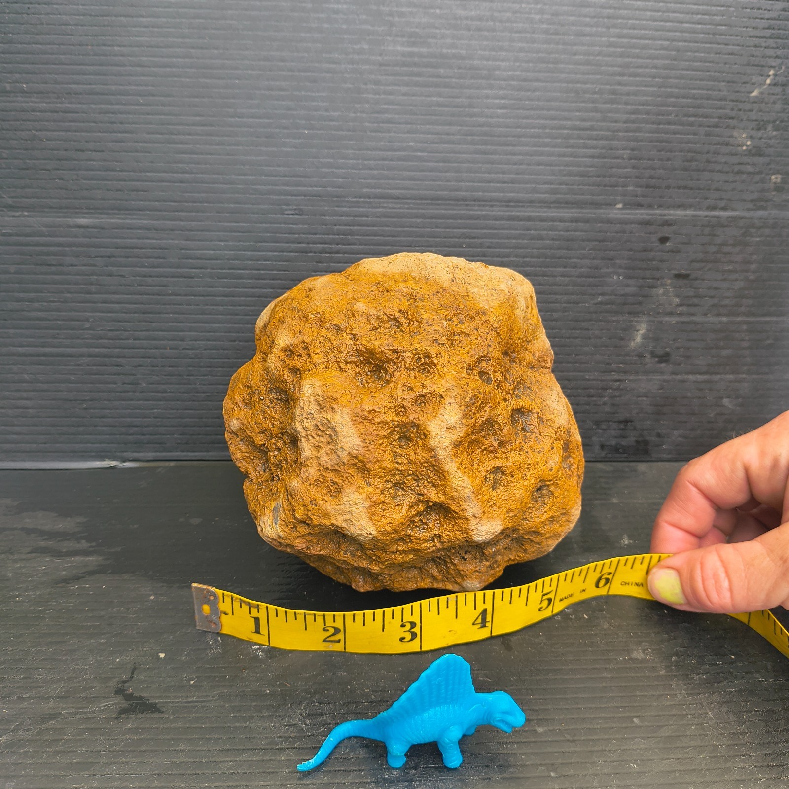 Unopened Natural Kentucky Geode 4.88 lb 6″ Exact Specimen