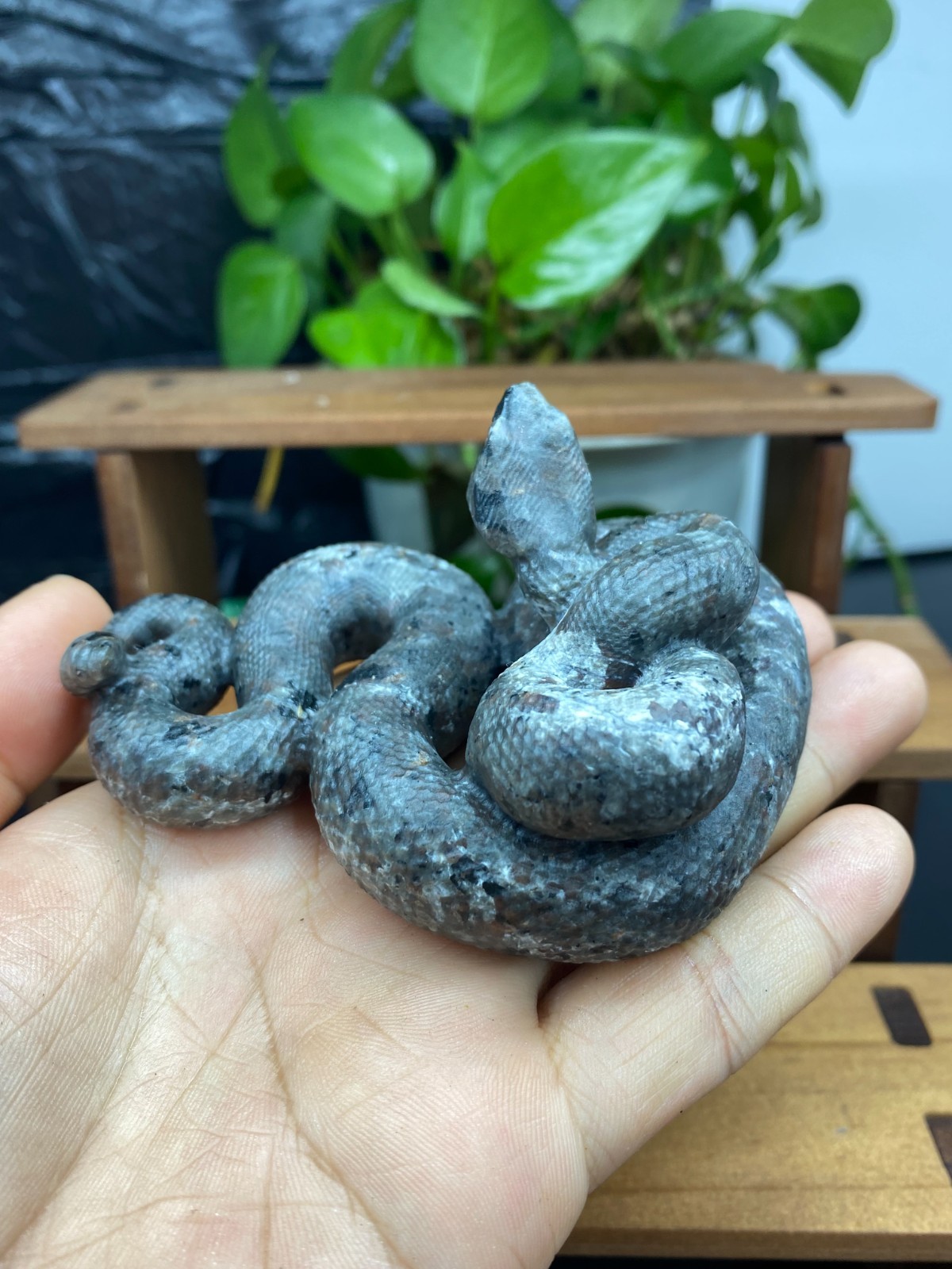 3.7” Natural Yooperlite Quartz Crystal Carved Snake skull reiki healin gift 1pc
