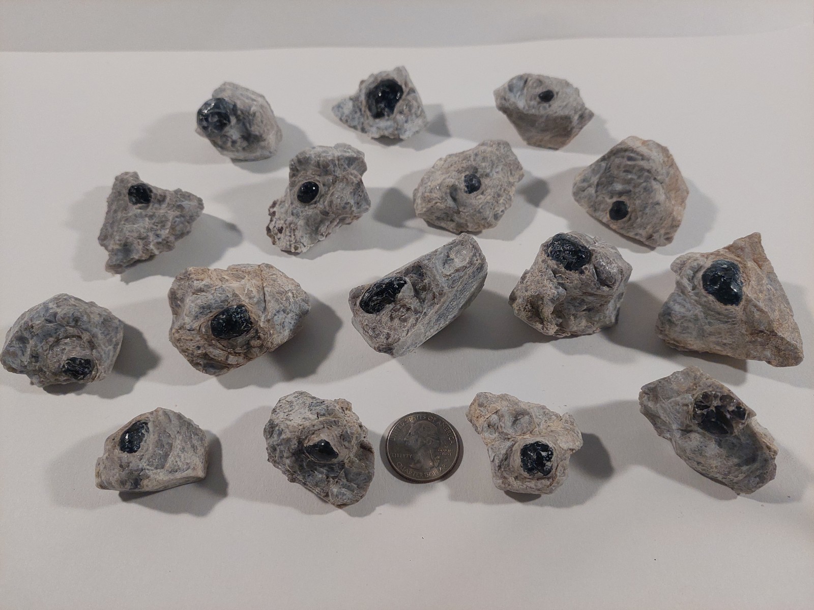 Single Apache Tear Obsidian encased in a natural matrix of pearlite