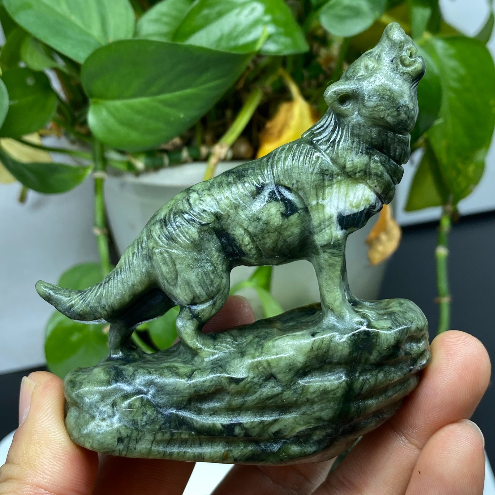 3.4” Natural Green Jade Quartz Crystal Carved Wolf skull reiki healing gift 1pc