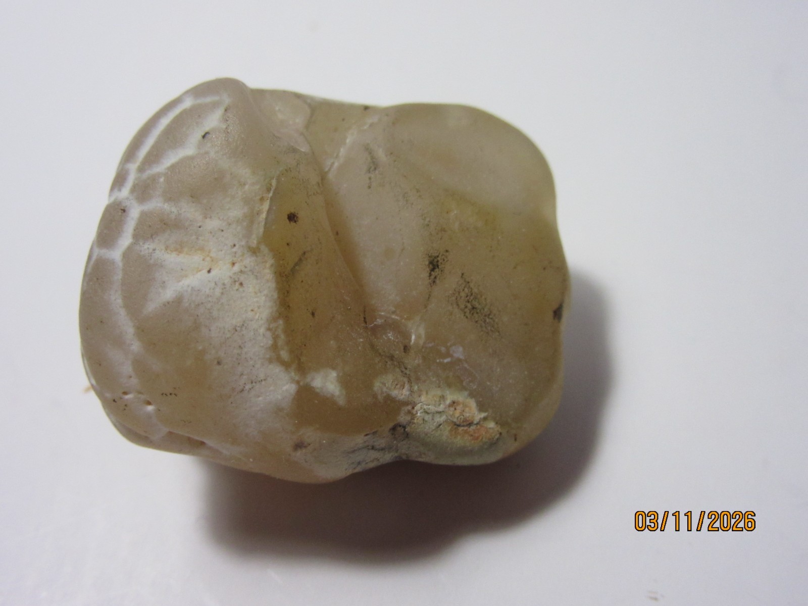 Snake Skin Agate 1 1/4 Inch Quartz Collectible SSAQC-1.25