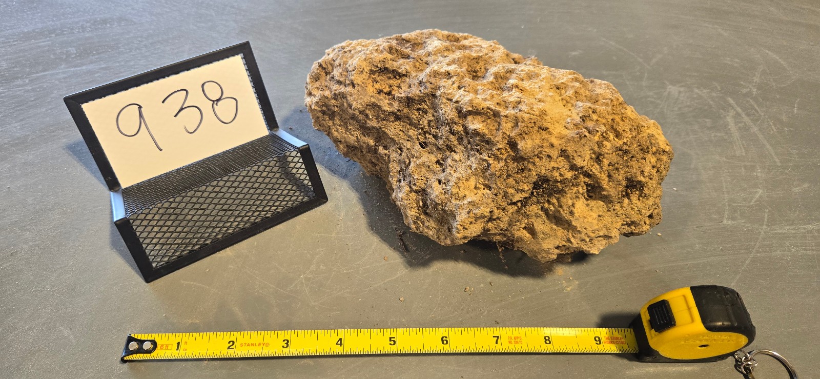 8″ Medium Pumice Stone Floating Natural Rock Carnivorous Succulent Garden #938