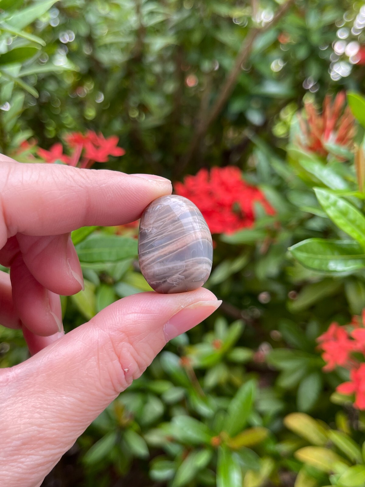 Grade A++ Moonstone Multi Tumbled Stone,0.5-1.25″ Tumbled Multicolored Moonstone