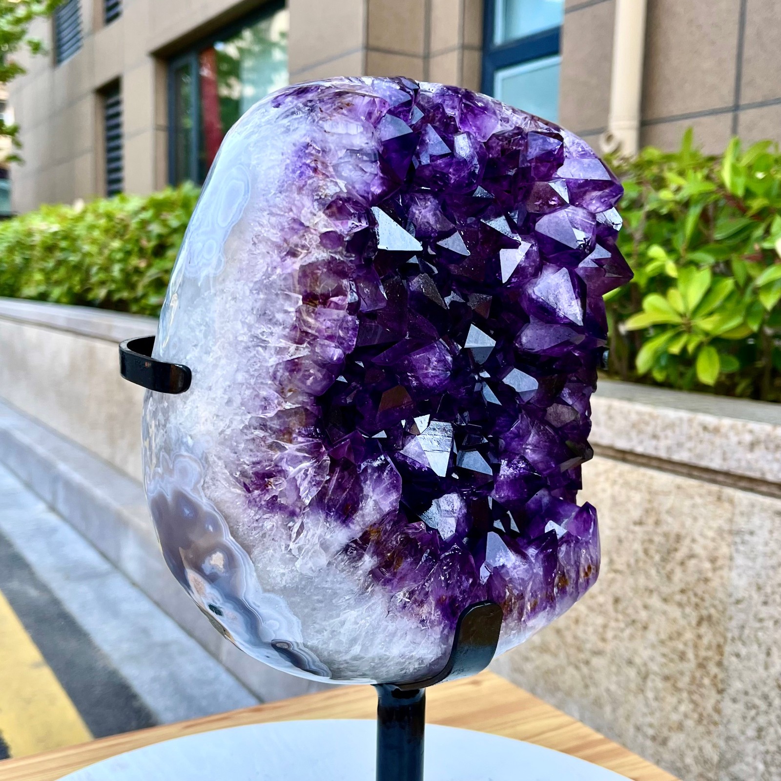 21.71LB Natural Brazilian high-grade amethyst thin skin large teeth