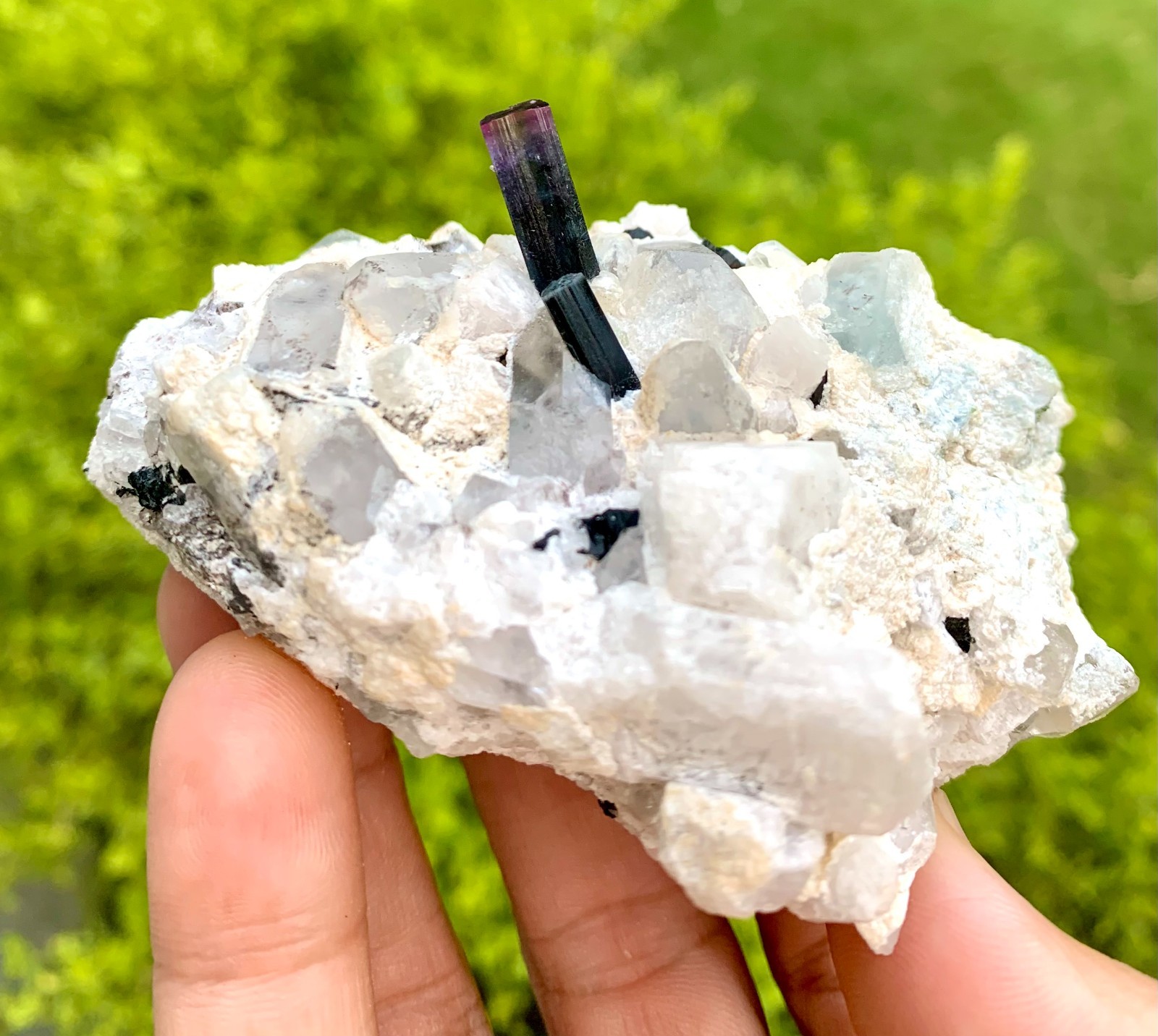 192 GM Multi Color Tourmaline With Quartz & Topaz From Chamachu Mine Shengus Rhu