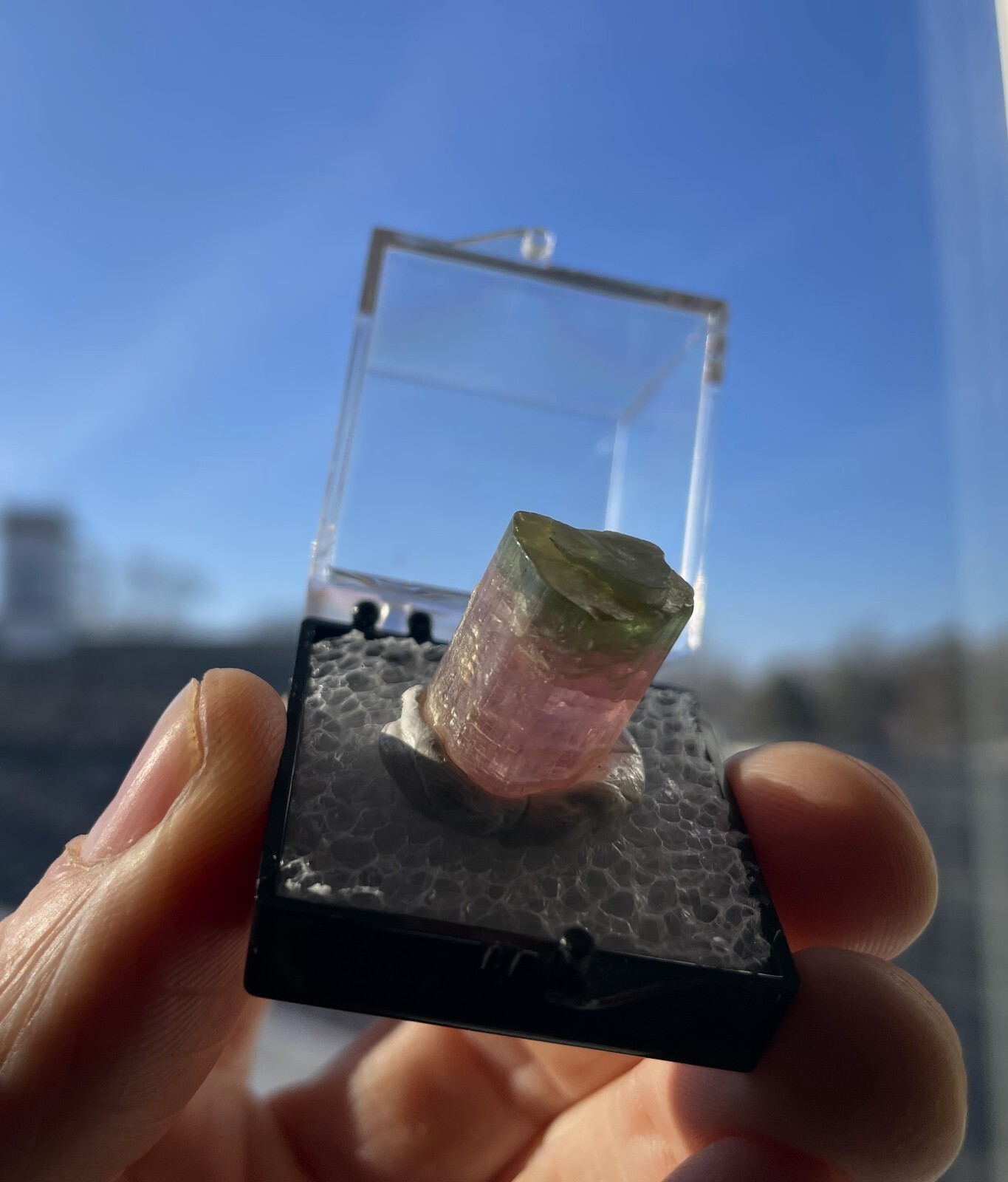 32 Ct. Natural Green Cap Pink Tourmaline Himalaya Mine, California 1970’s Pocket