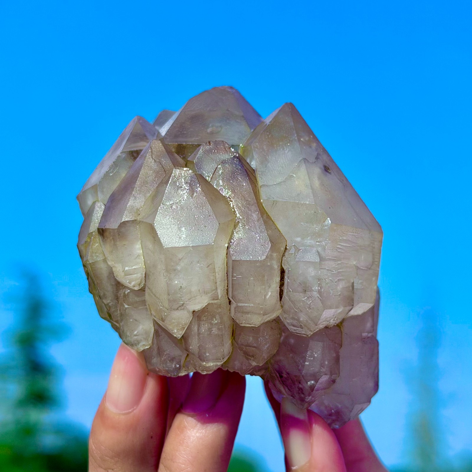 317G Top! Natural Amazing Smoky Quartz Skeletal Raw Textured Crystal Specimen