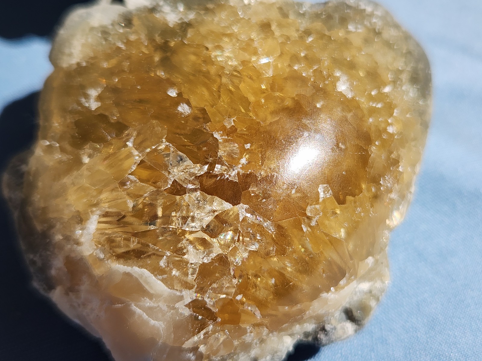 Set of 4 POLISHED Honey Calcite Crystal Fossil Clams Florida Rucks Pit UNIQUE