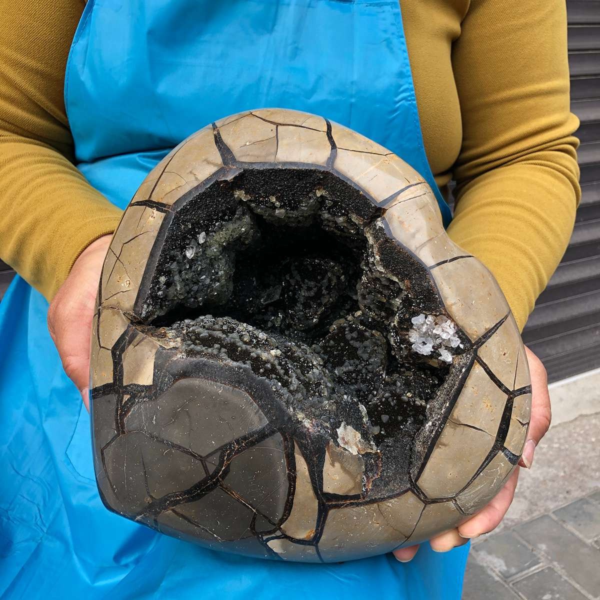 10.9KG Natural Turtle Back Stone Dragon Crystal Cave Crack Gem Healing 4355