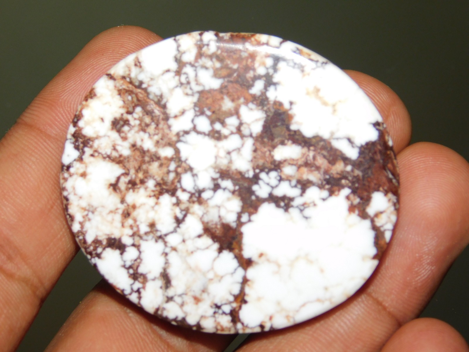 118.45Ct Wild Horse Oval Gem Magnesite Crystal Stone Jewelry making 47x42x5.7mm