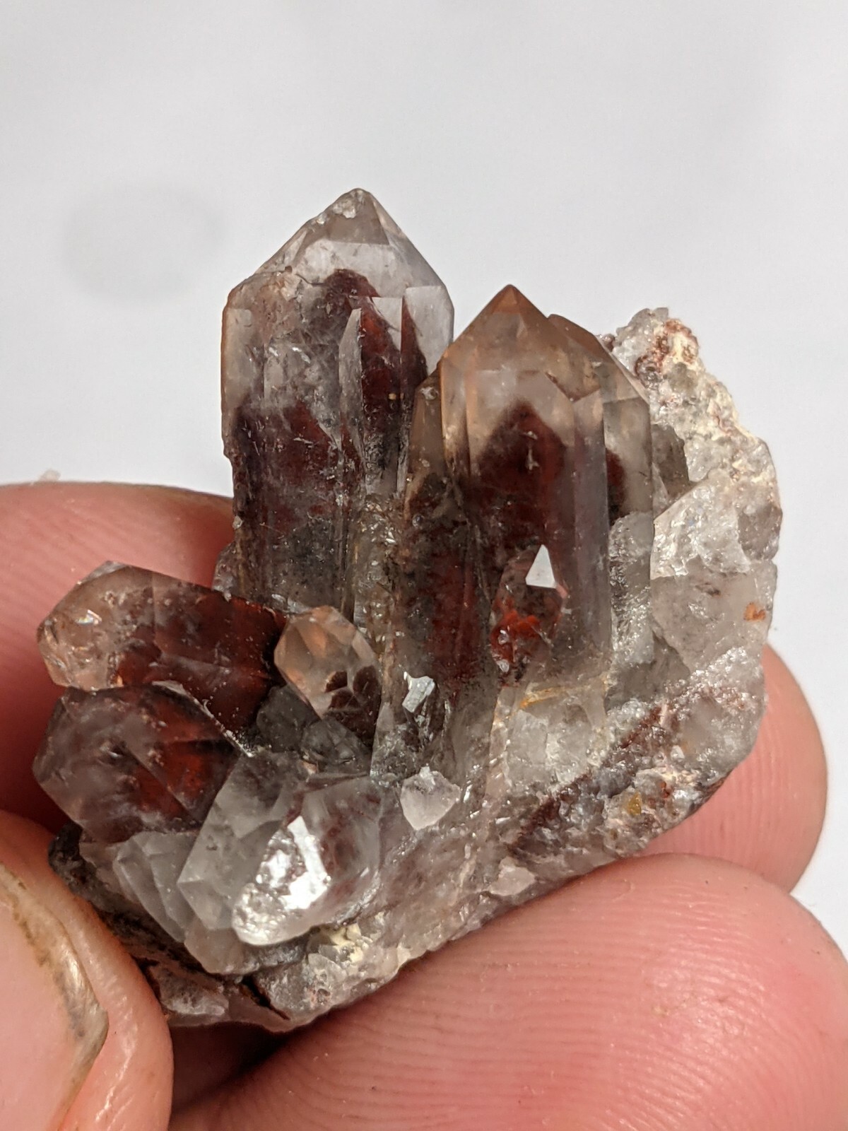 Red Hematite Included Quartz Crystal Cluster Orange River South Africa