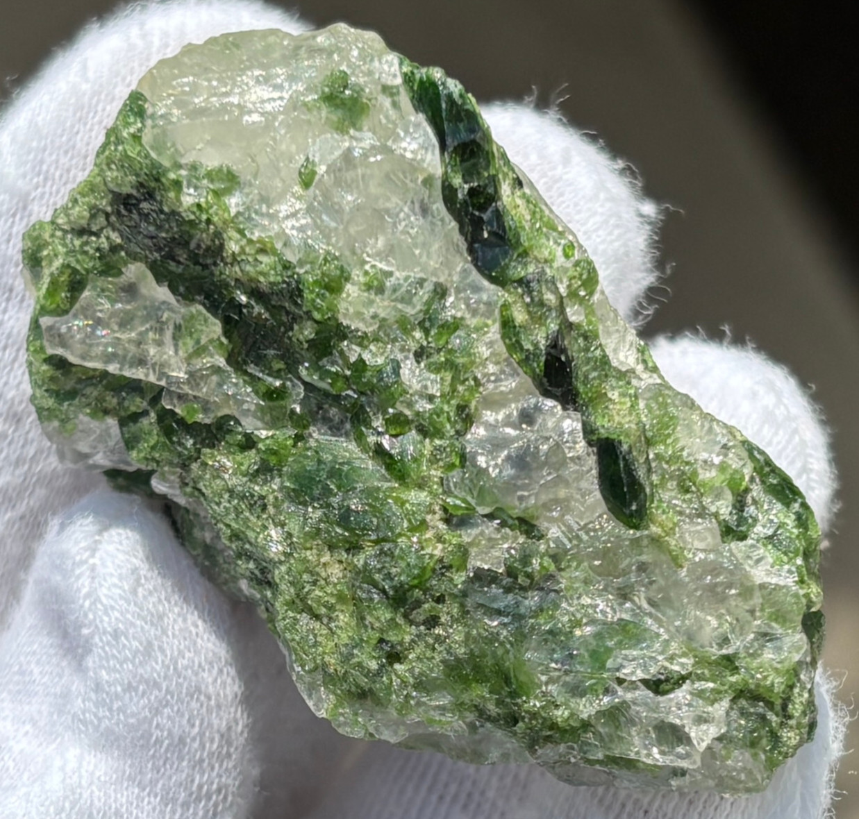 USA SALE SEE VIDEO 215g LOT DIOPSIDE GEM QUARTZ ROUGH SPECIMENS SPECIMEN
