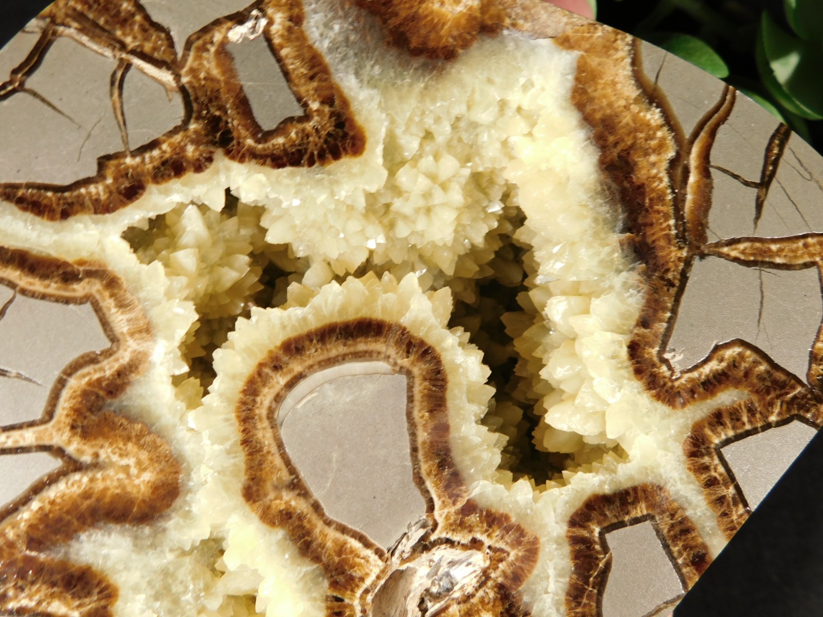 Larger! Polished AAA Crystal Filled Septarian GEODE FREE Standing Utah 852gr