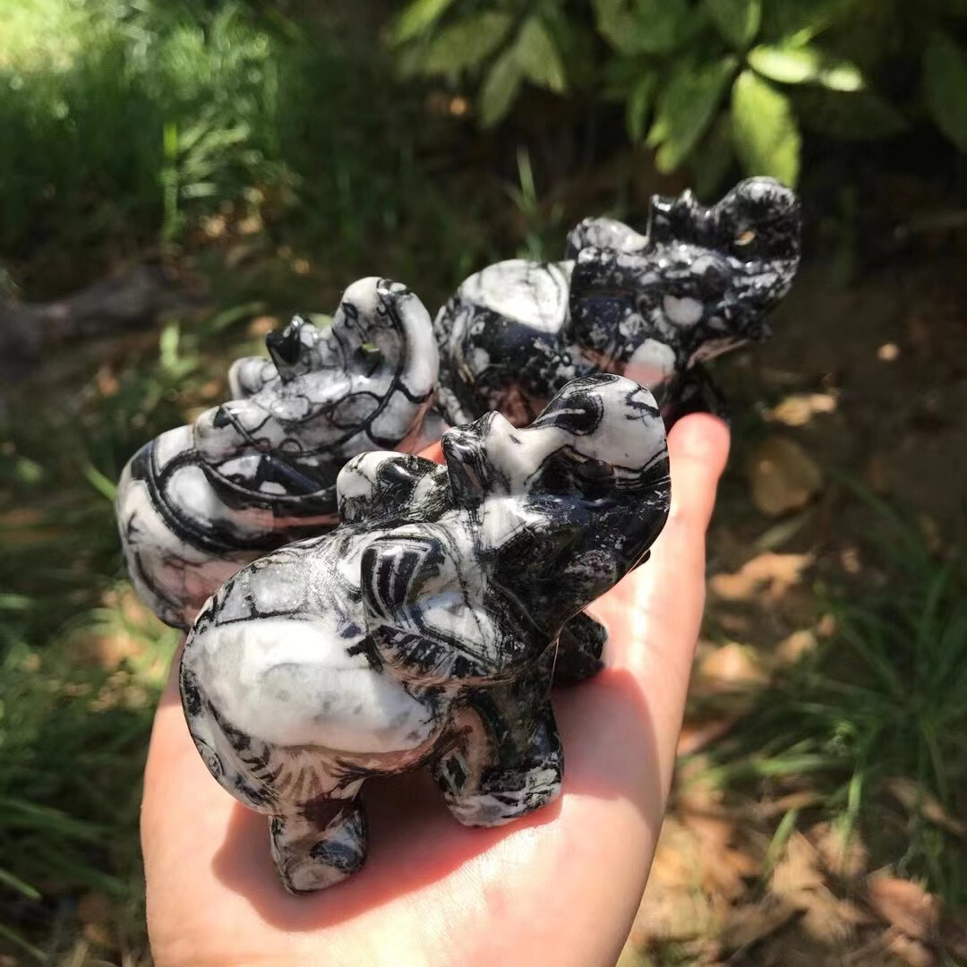 Natural Elephant 🐘 (Shell stone) quartz crystal Random 1PC