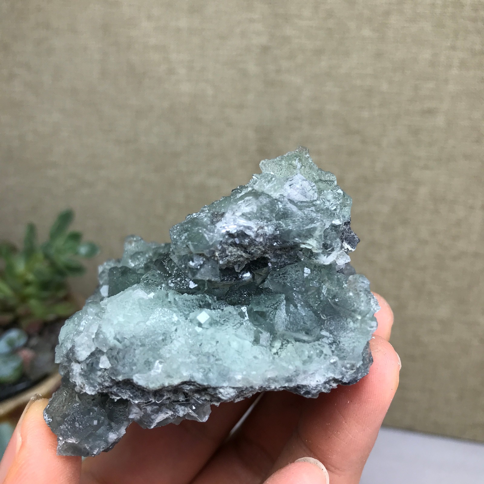 141g NATURAL Green Cubic FLUORITE paragenesis Crystal Cluster Specimen A4783