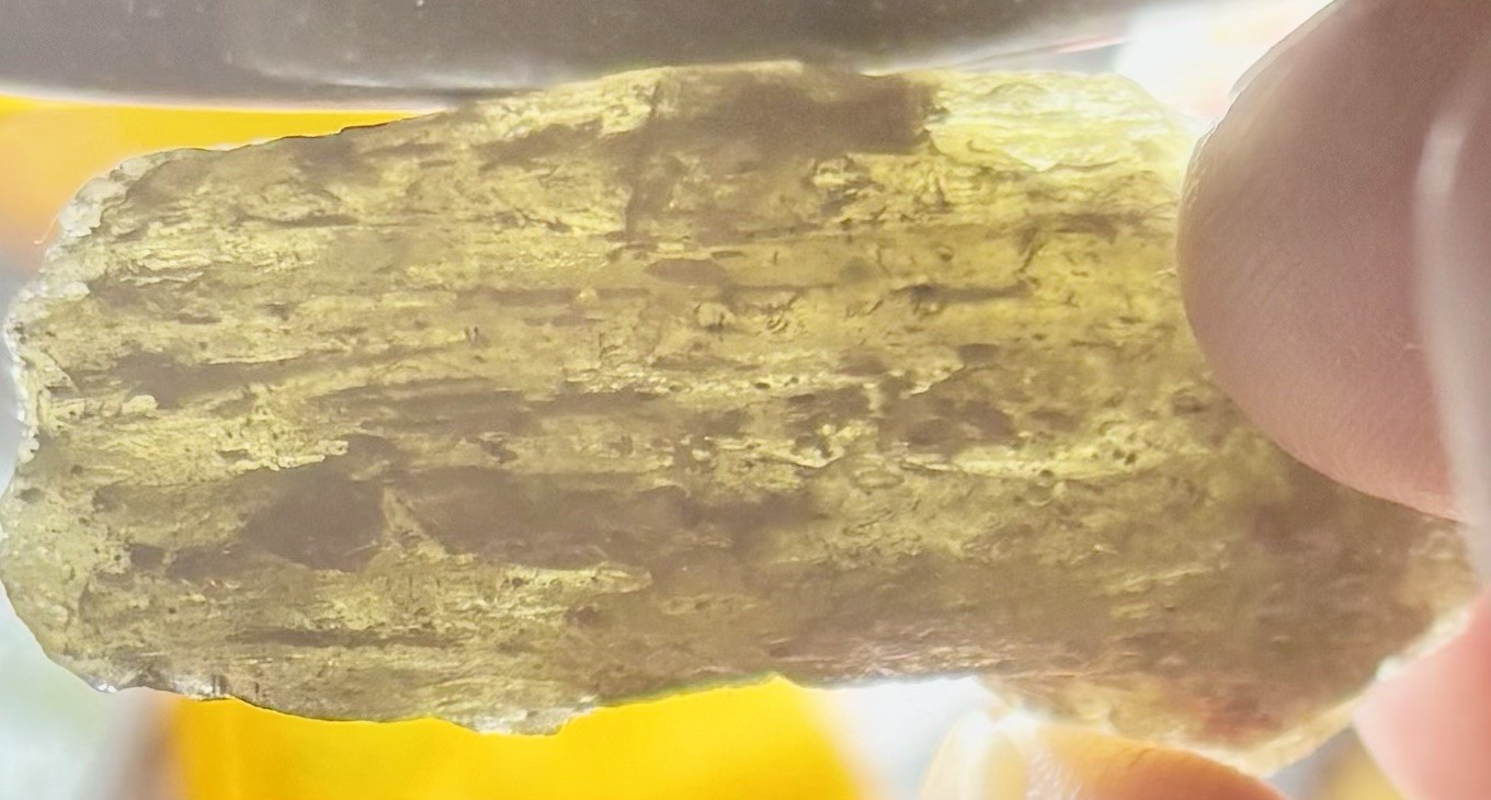 Darwinite Australian Moldavite FOSSIL INCLUSION meteorite crystal spirit energy
