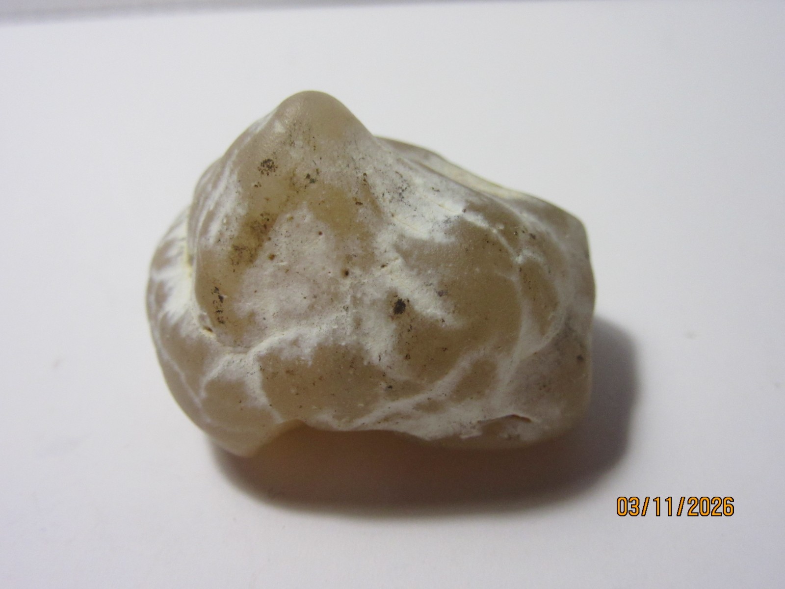 Snake Skin Agate 1 1/4 Inch Quartz Collectible SSAQC-1.25