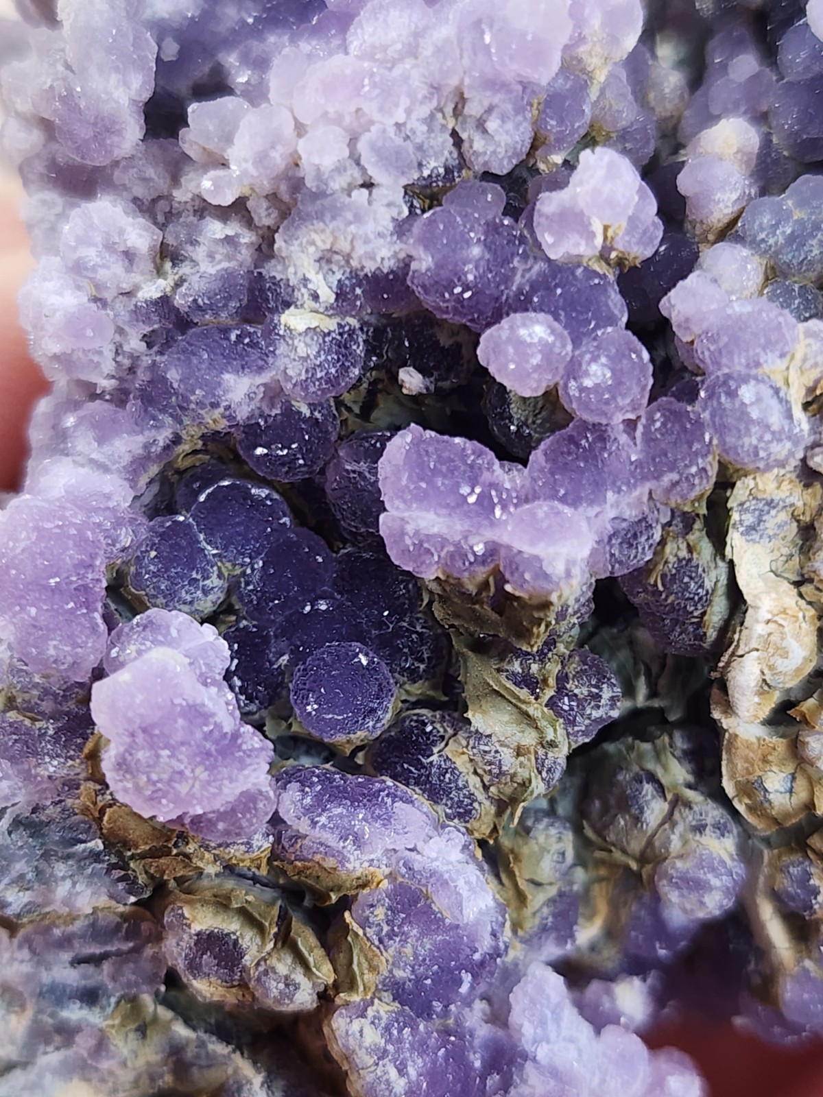 ✨️🍇Rare Multi-Color Grape Agate Specimen🍇✨️