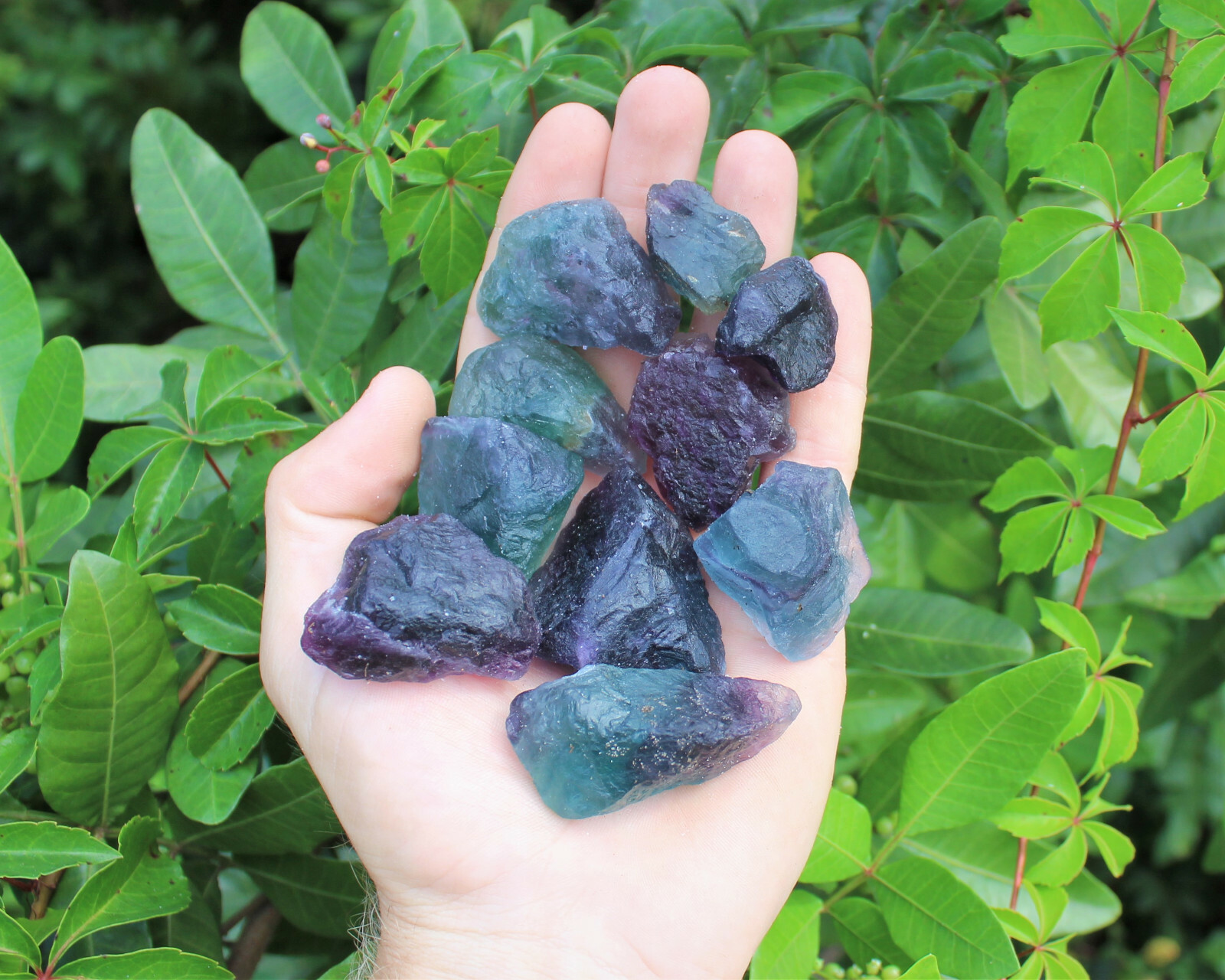 Raw Fluorite Natural Crystals: Choose How Many Pieces (Rough Rainbow Fluorite)