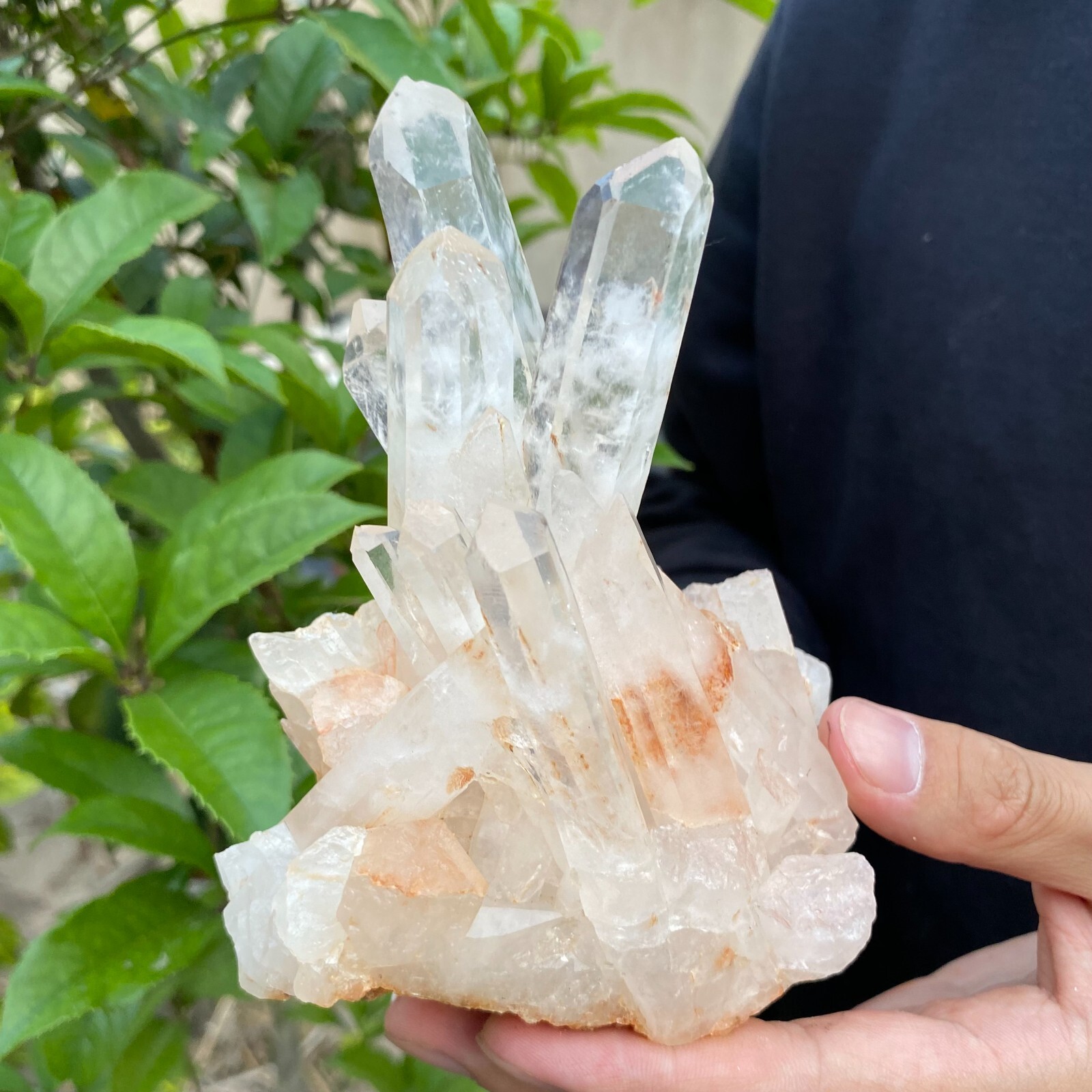 1.2lb Natural Clear White quart Crystal Cluster Raw Healing Specimen