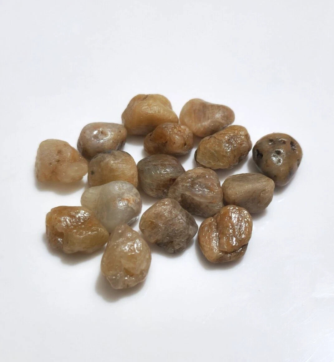 Beautiful Natural African Sapphire Rough 16 Pcs Lot Size 10-14 MM Loose Gemstone
