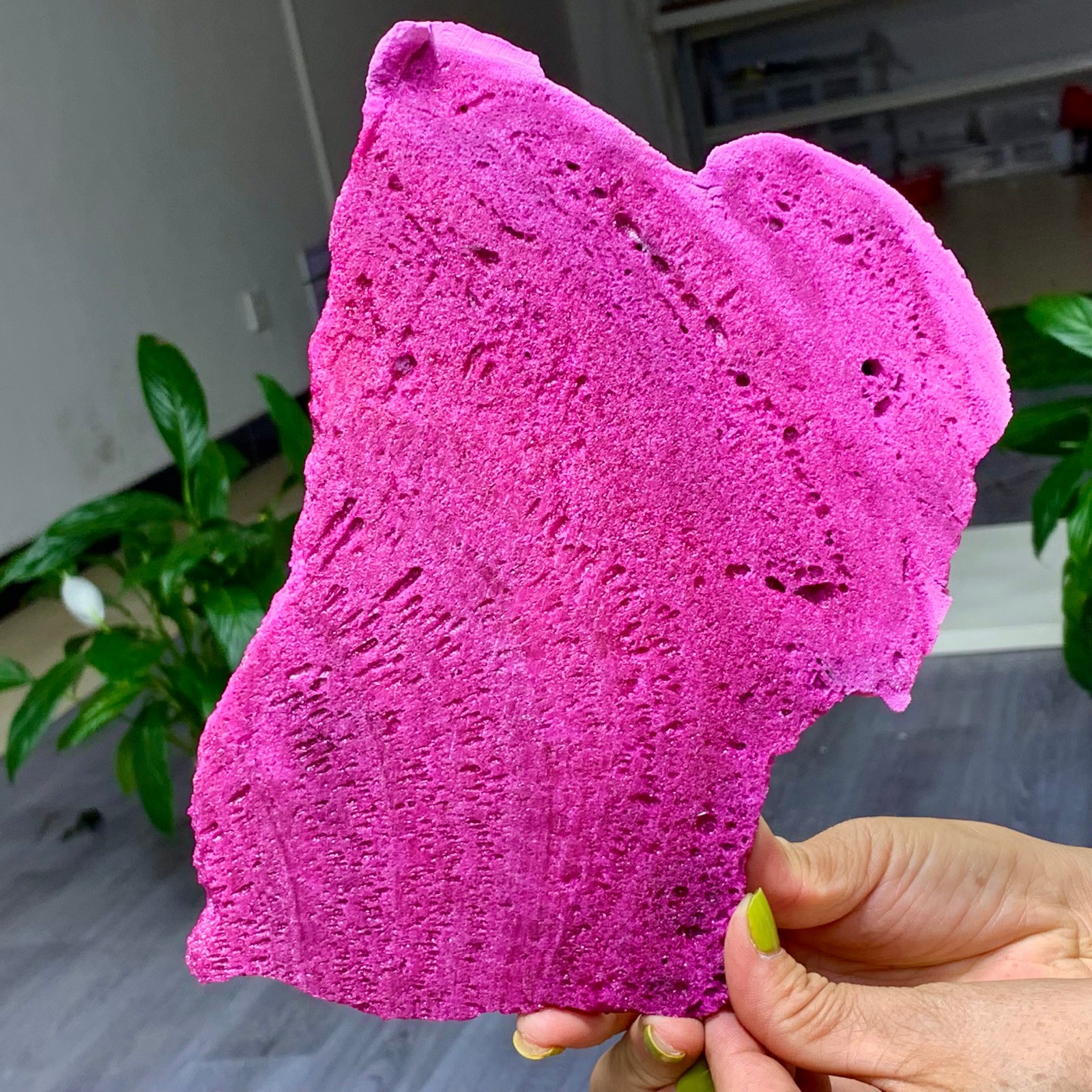 1.57LB Natural Rough Red Corundum Phlogo Pit Mineral Spirits Ruby Raw Gemstone
