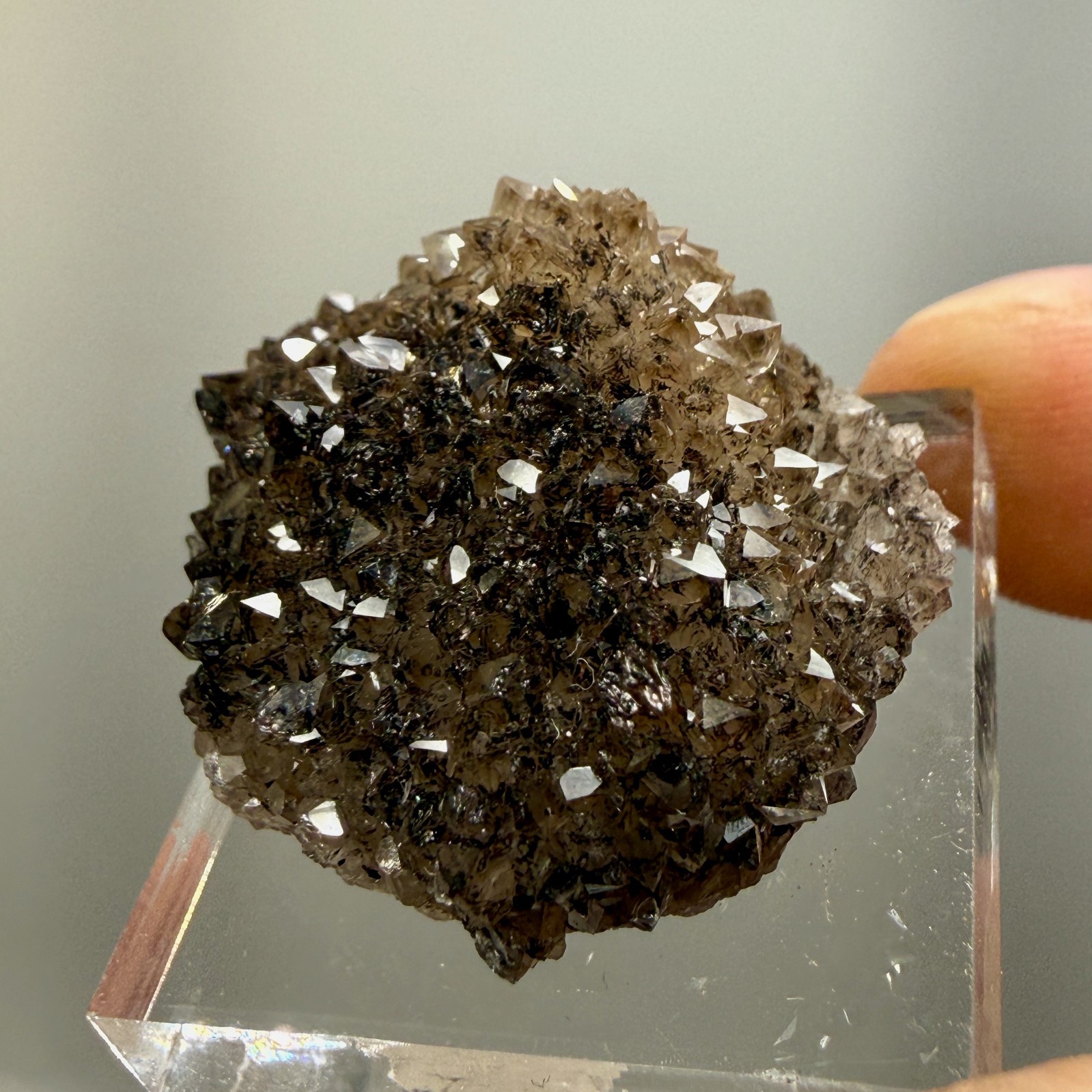 Herkimer Diamond Black + Gray Druze, Gemmy Points w/ Hydrocarbon, Rare Matrix